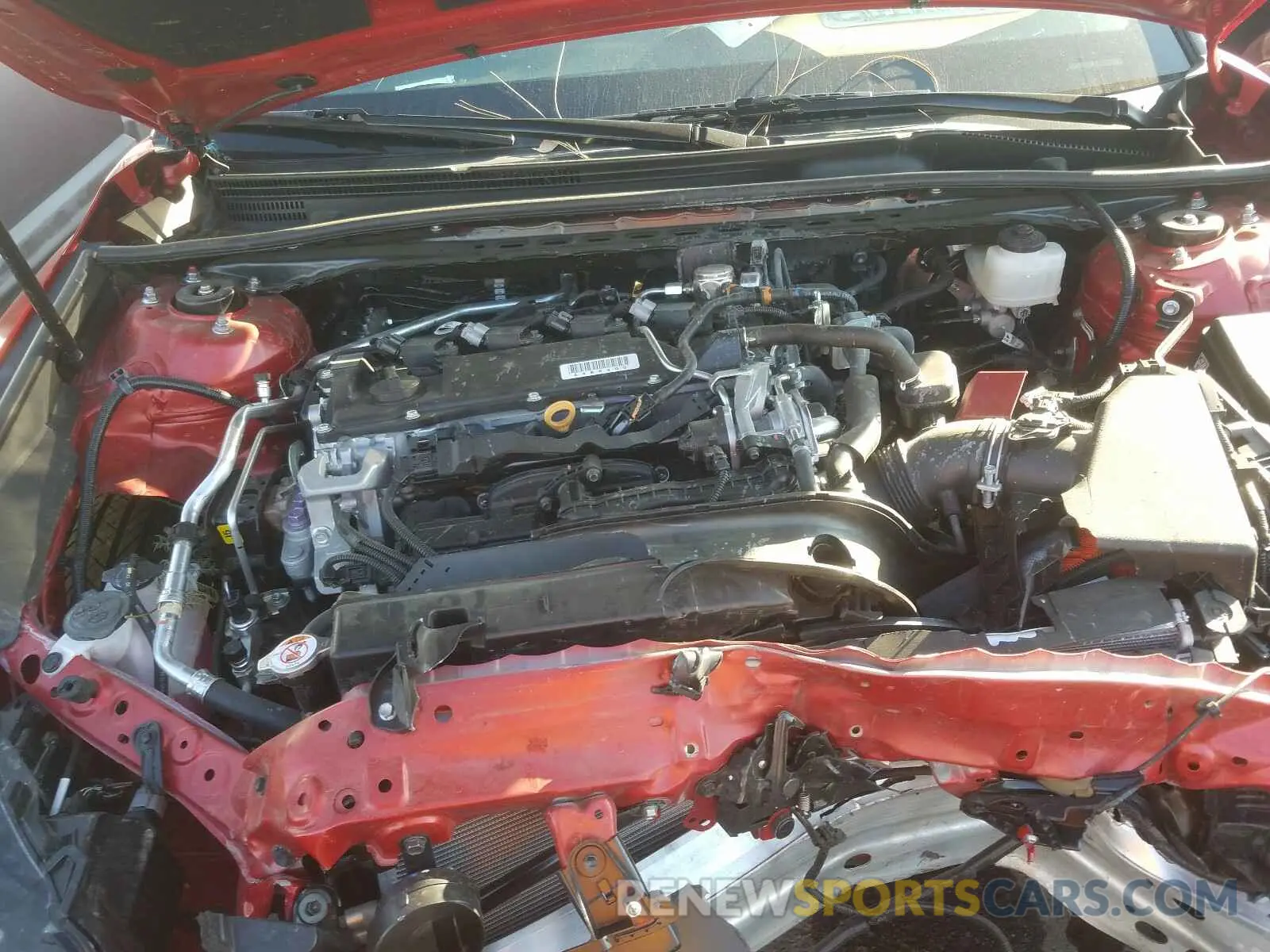 7 Photograph of a damaged car 4T1M11AK0LU365081 TOYOTA CAMRY 2020