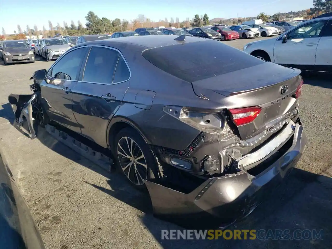 2 Photograph of a damaged car 4T1M11AK9LU507380 TOYOTA CAMRY 2020