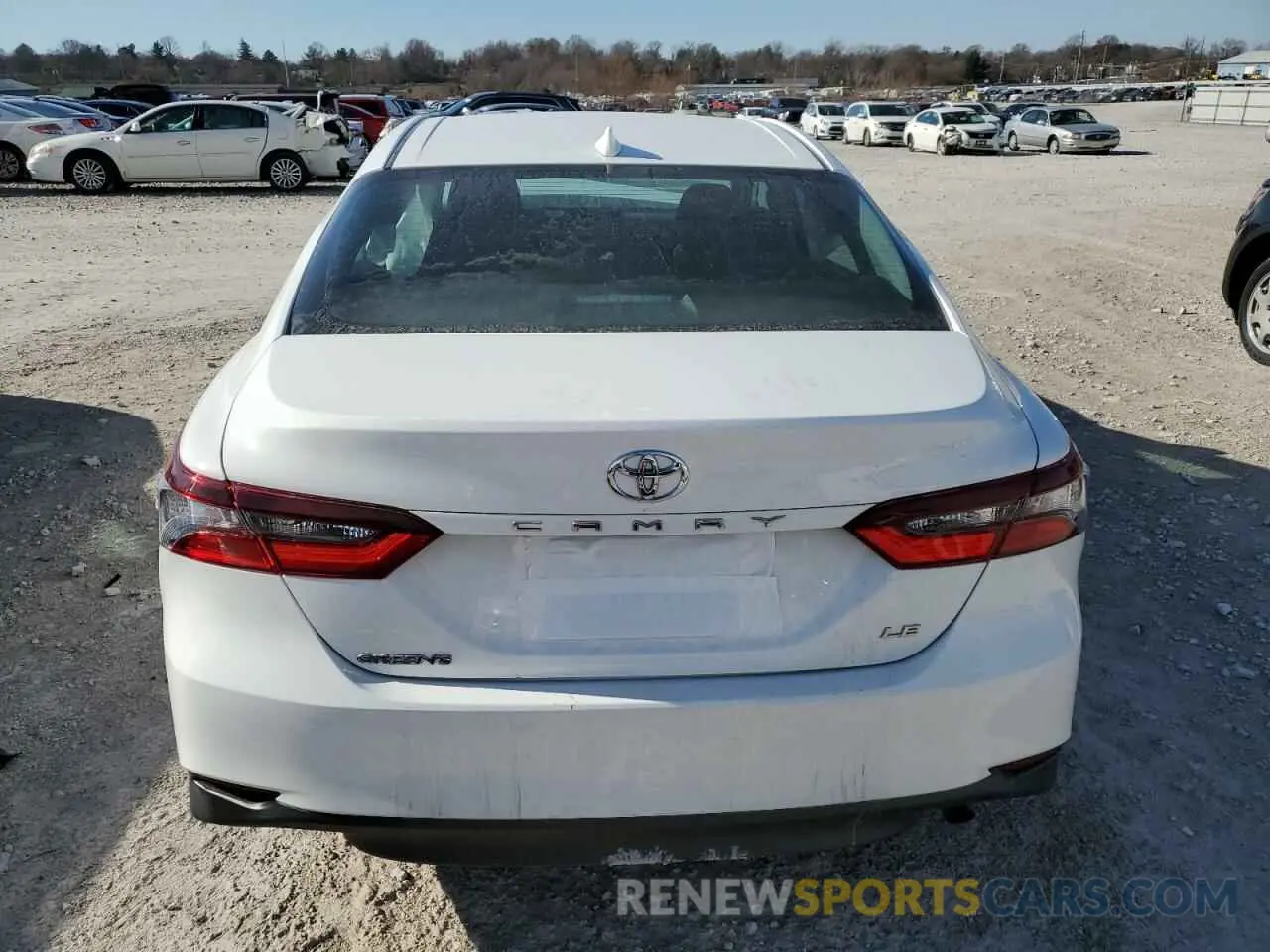 6 Photograph of a damaged car 4T1C11AK1MU449861 TOYOTA CAMRY 2021