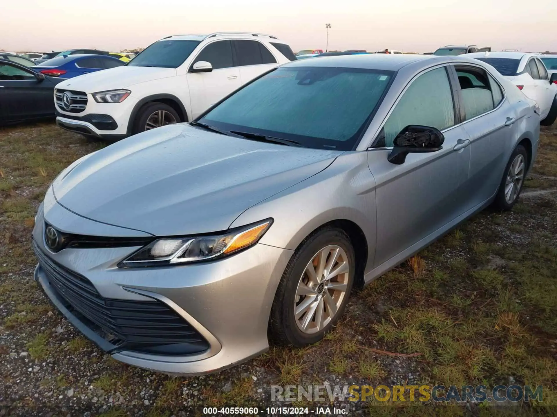 2 Photograph of a damaged car 4T1C11AK3MU442605 TOYOTA CAMRY 2021