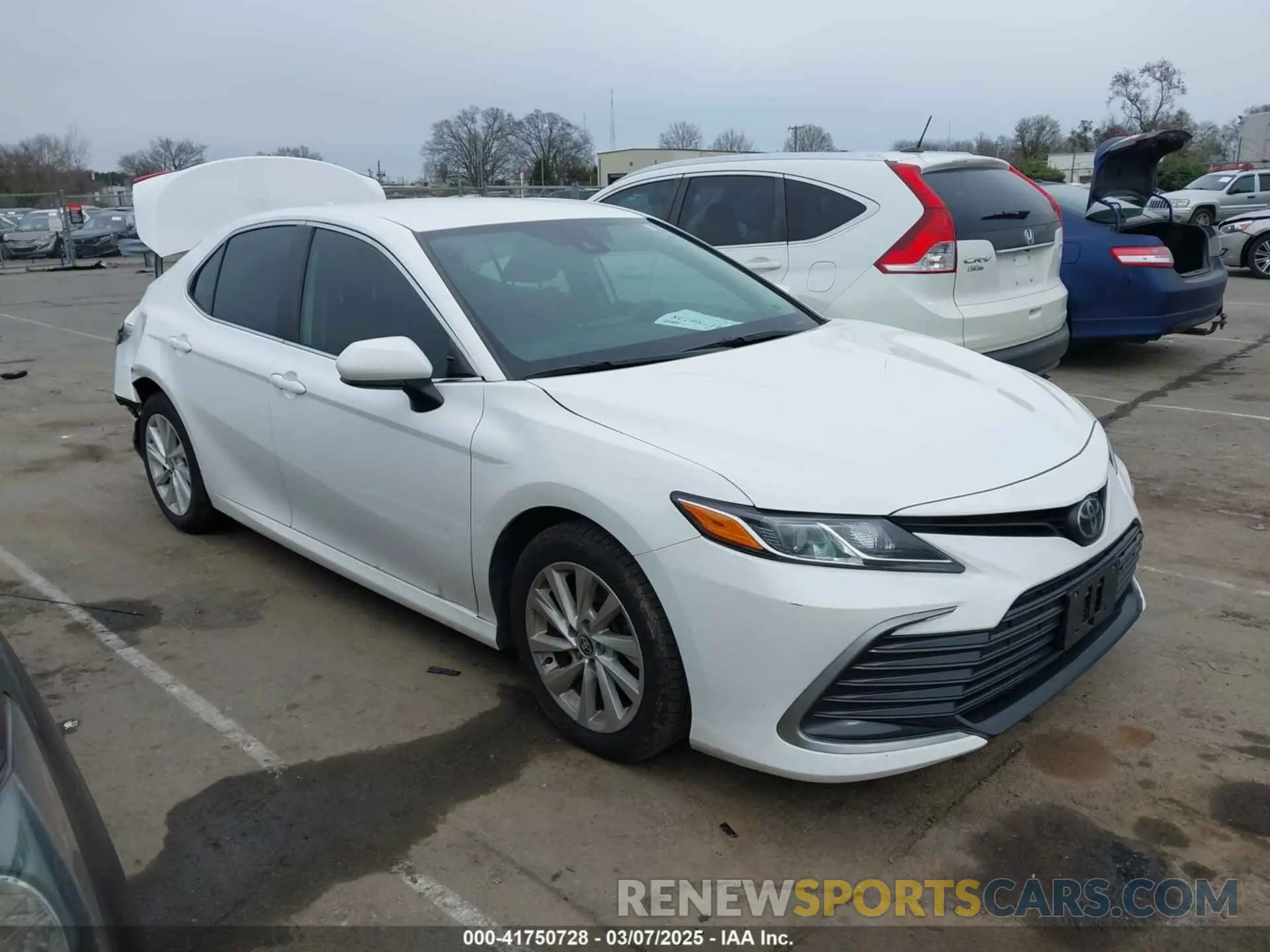 13 Photograph of a damaged car 4T1C11AK3MU457038 TOYOTA CAMRY 2021