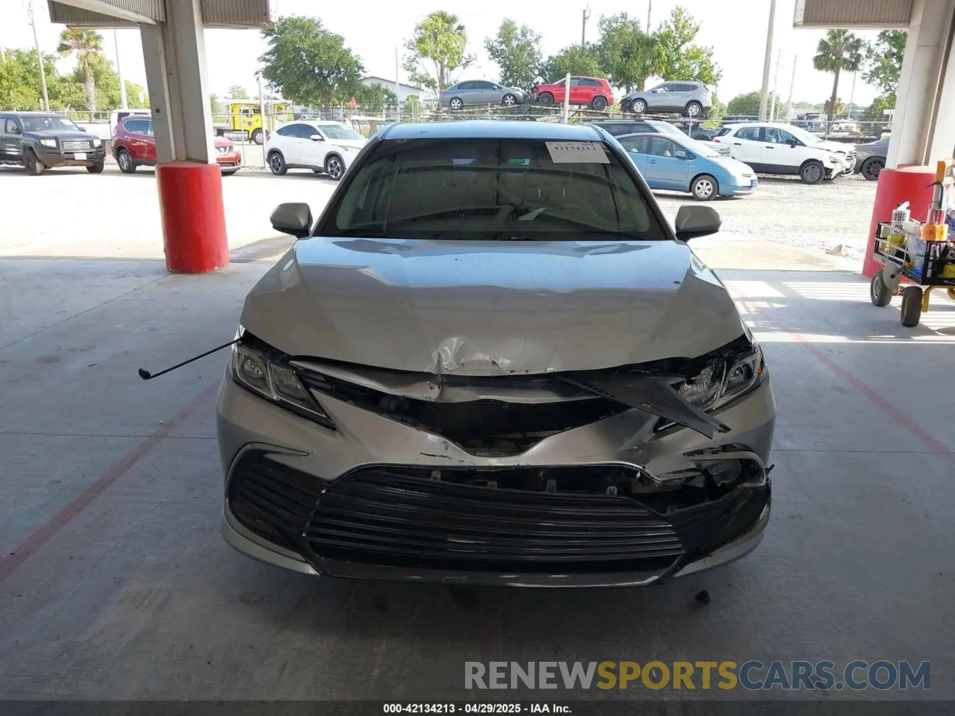 12 Photograph of a damaged car 4T1C11AKXMU569254 TOYOTA CAMRY 2021