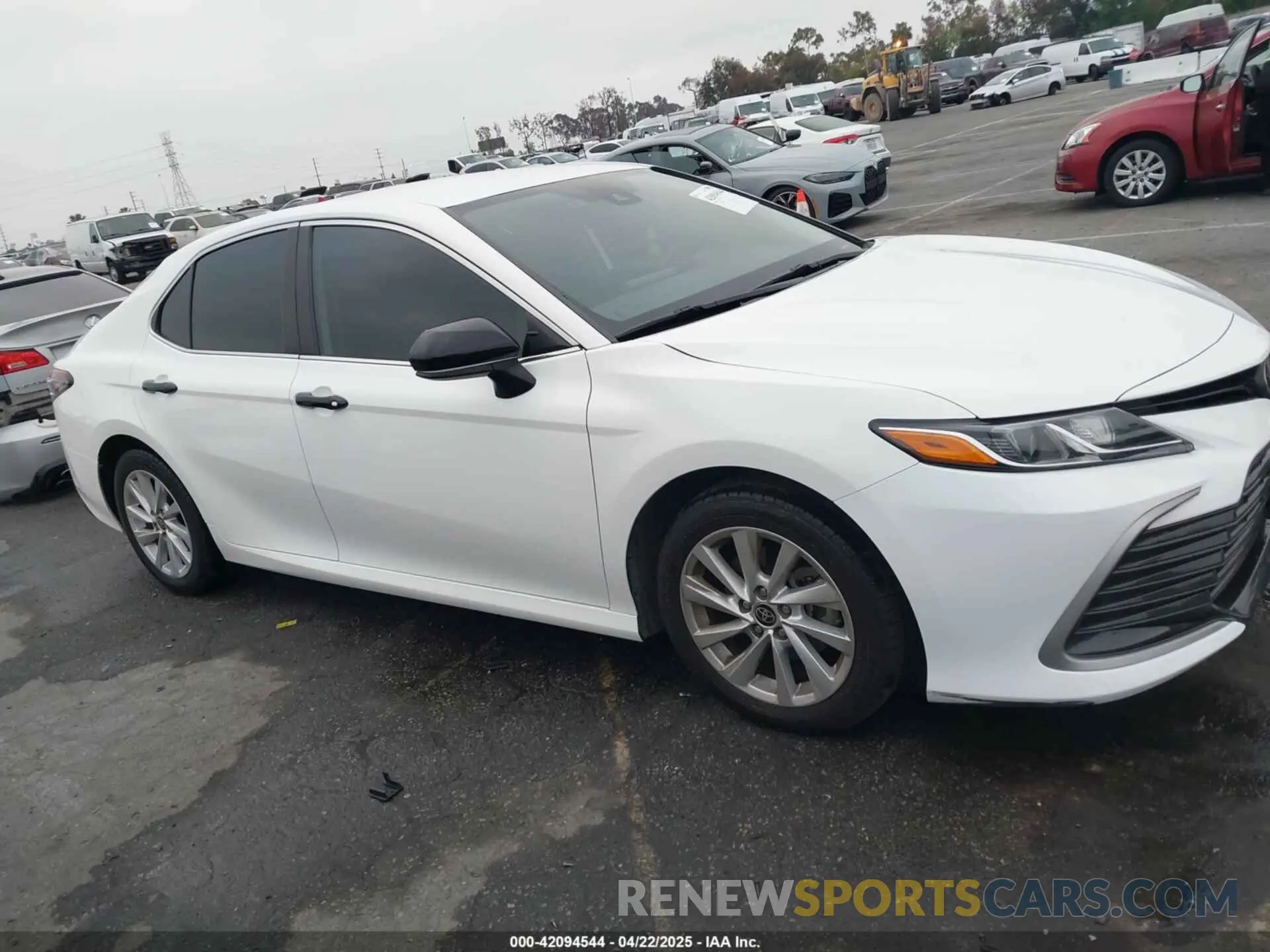 13 Photograph of a damaged car 4T1C11AKXMU597300 TOYOTA CAMRY 2021