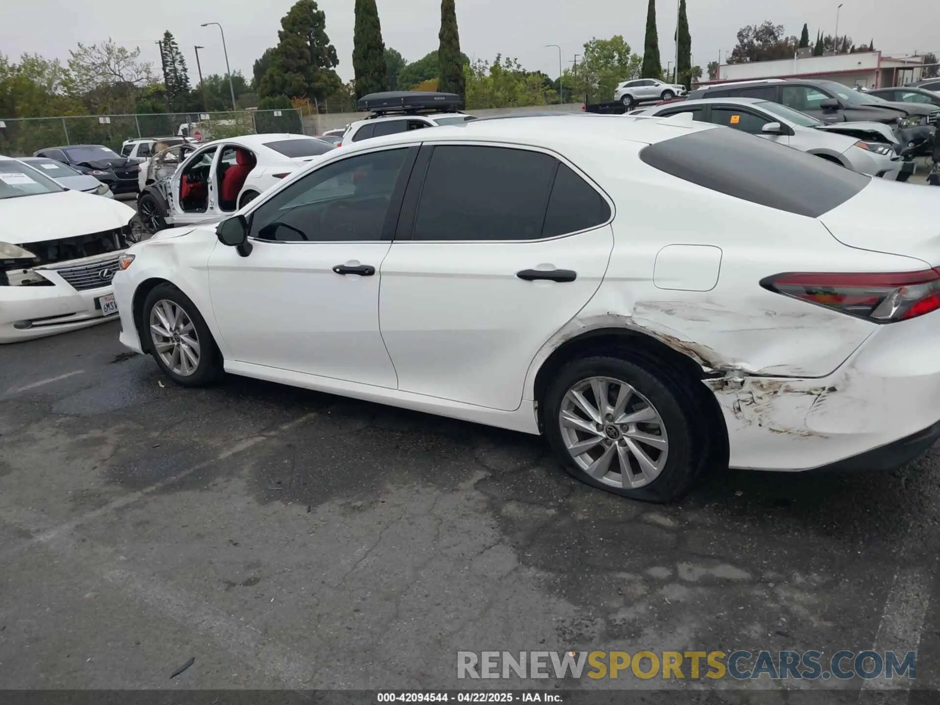14 Photograph of a damaged car 4T1C11AKXMU597300 TOYOTA CAMRY 2021