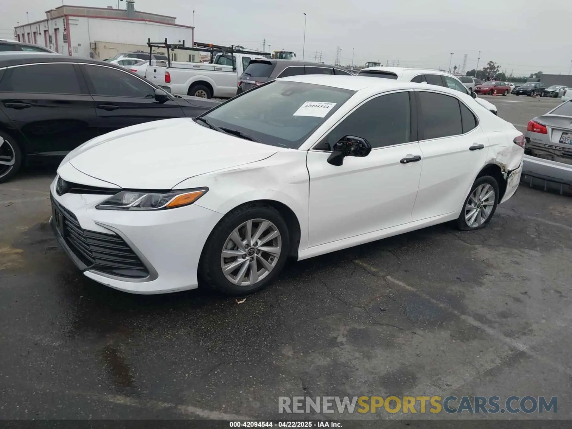 2 Photograph of a damaged car 4T1C11AKXMU597300 TOYOTA CAMRY 2021
