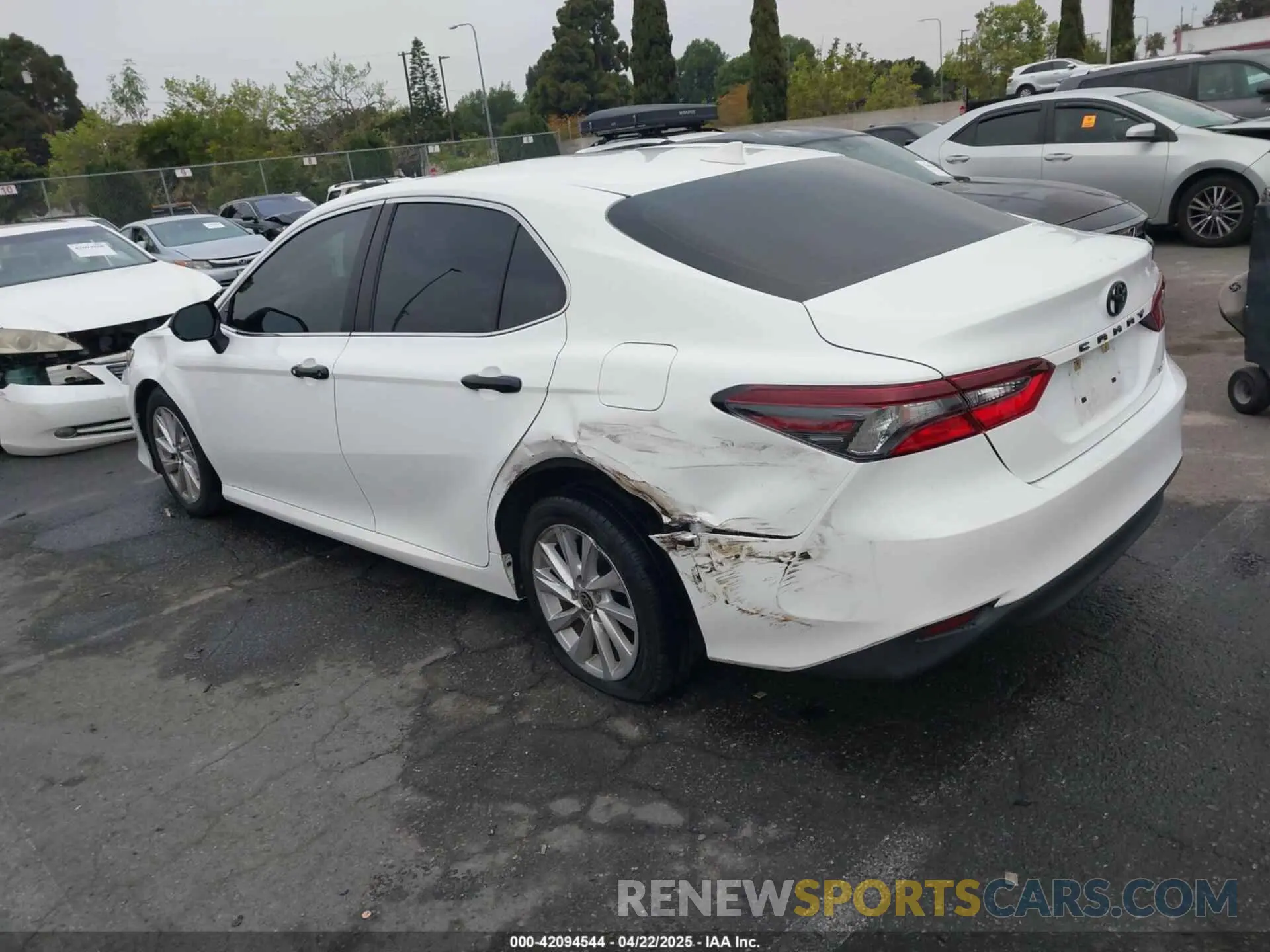 3 Photograph of a damaged car 4T1C11AKXMU597300 TOYOTA CAMRY 2021