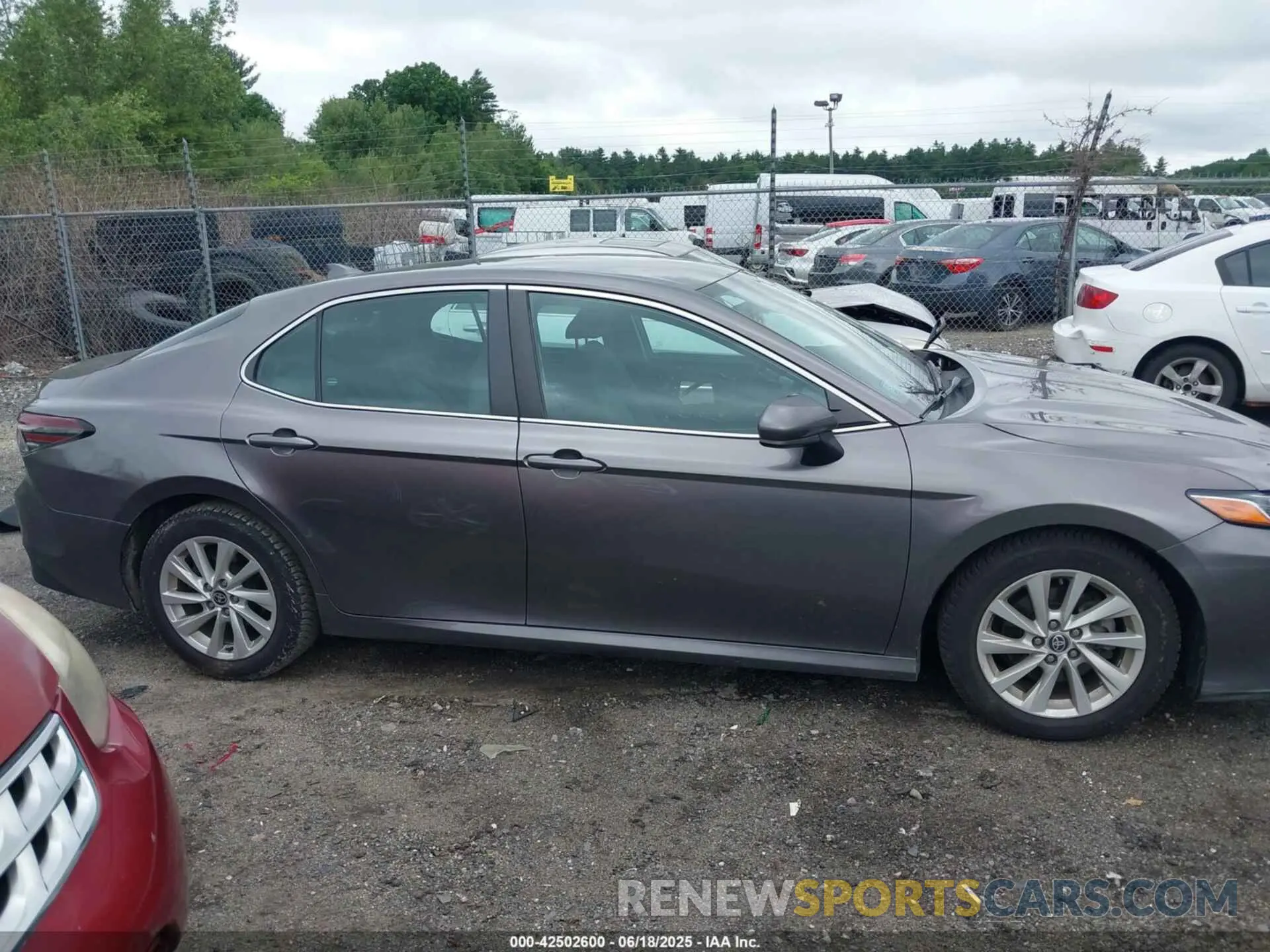 14 Photograph of a damaged car 4T1C11BK5MU028031 TOYOTA CAMRY 2021