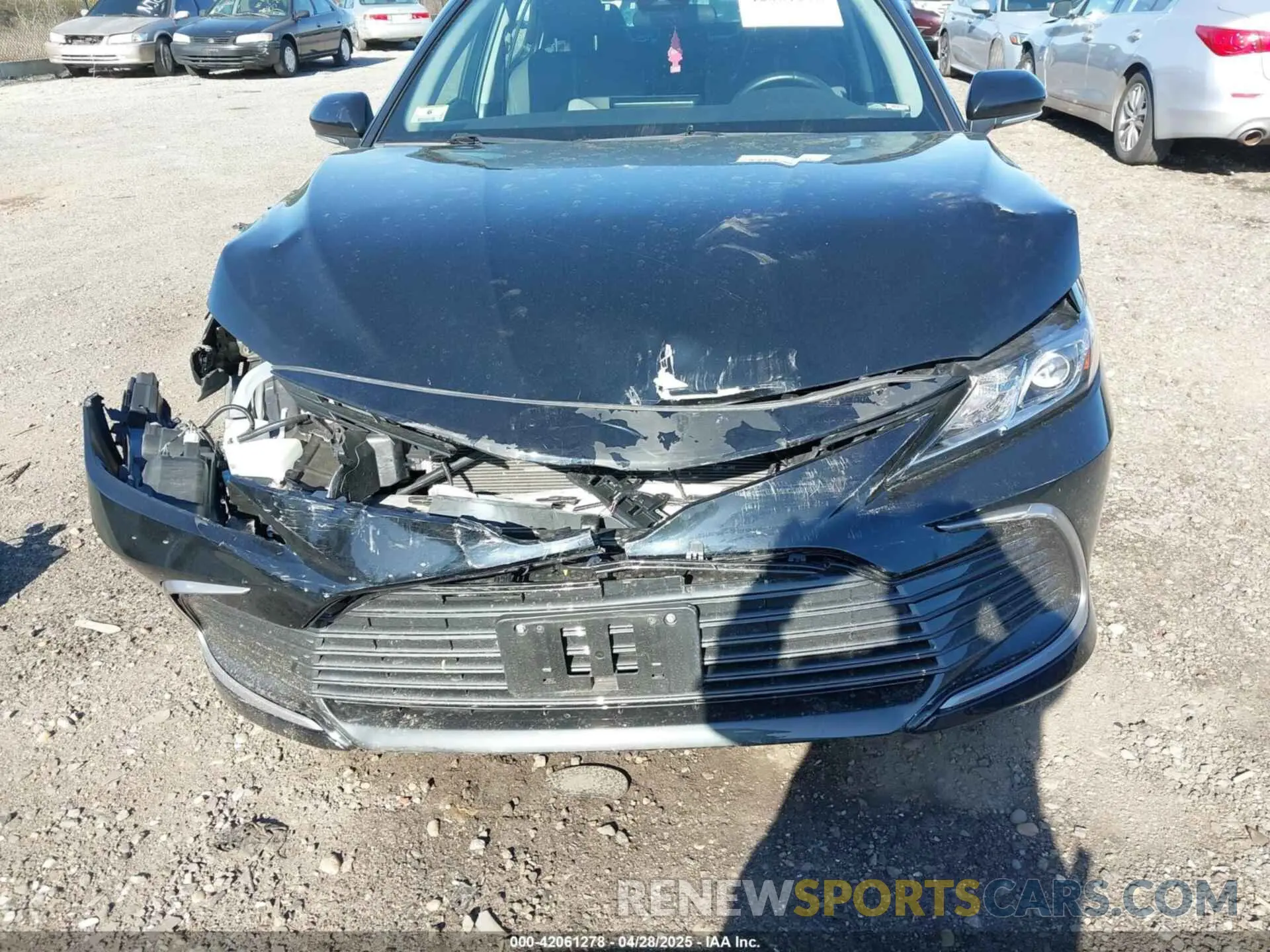 12 Photograph of a damaged car 4T1C11BK7MU034154 TOYOTA CAMRY 2021
