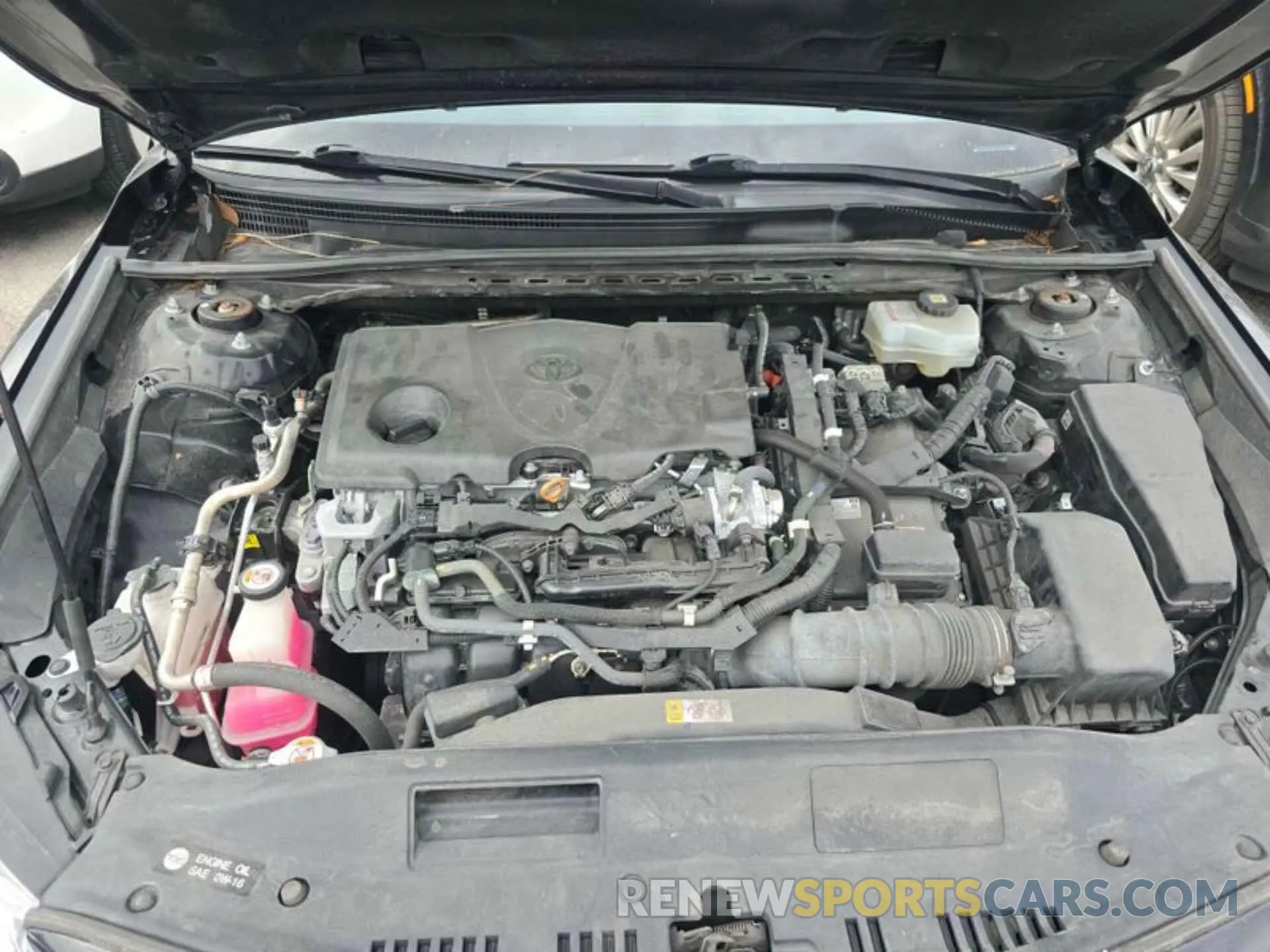 6 Photograph of a damaged car 4T1C31AK2MU551728 TOYOTA CAMRY 2021