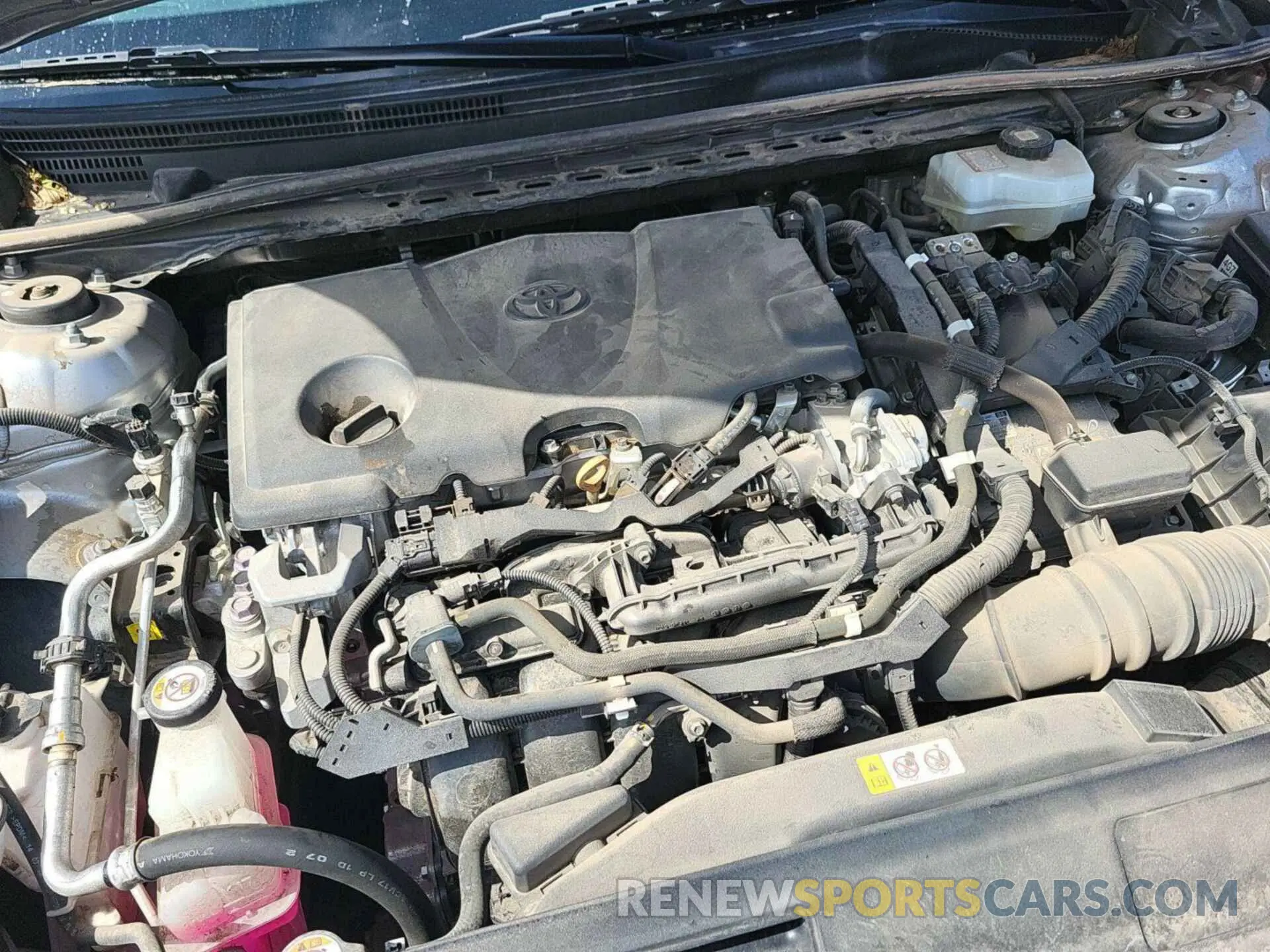 12 Photograph of a damaged car 4T1C31AK3MU551592 TOYOTA CAMRY 2021