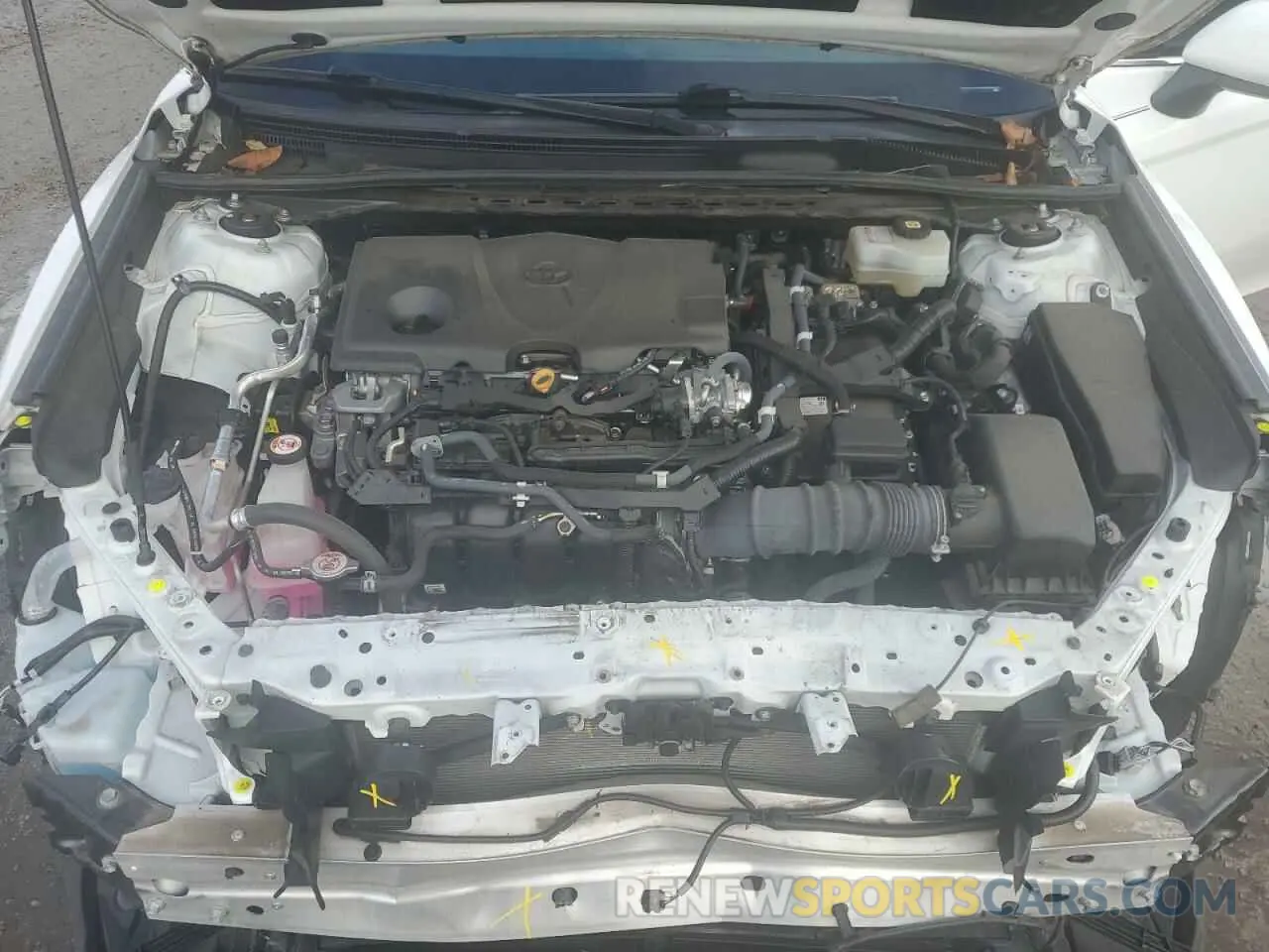 11 Photograph of a damaged car 4T1C31AK3MU562981 TOYOTA CAMRY 2021