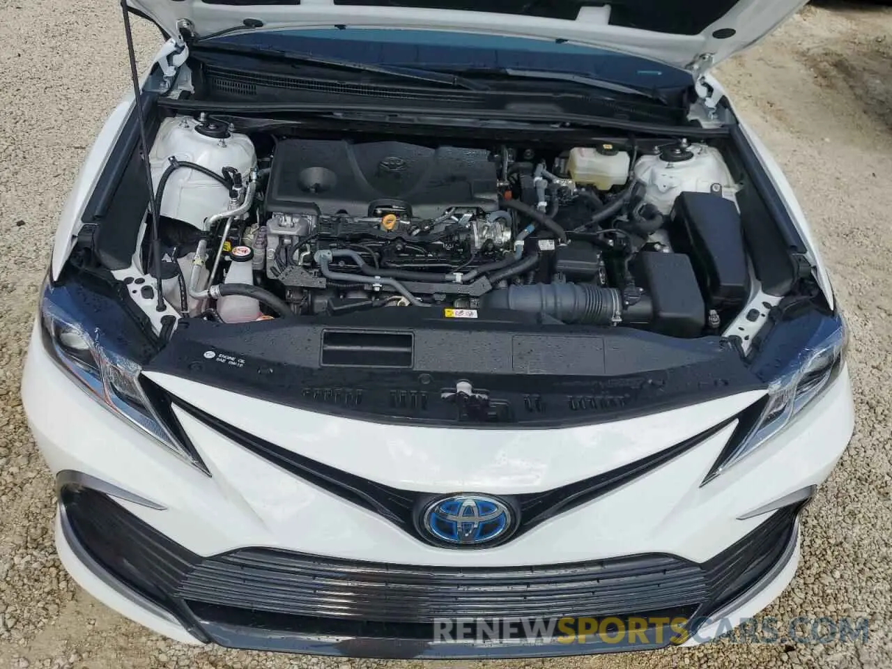 11 Photograph of a damaged car 4T1C31AK4MU558552 TOYOTA CAMRY 2021