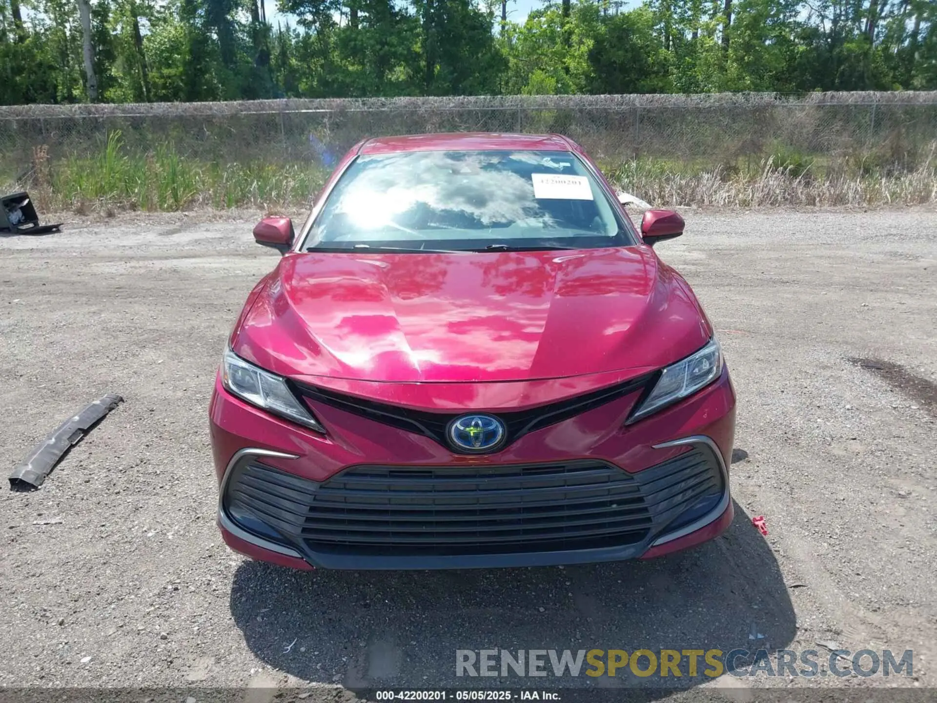 12 Photograph of a damaged car 4T1C31AK5MU030115 TOYOTA CAMRY 2021