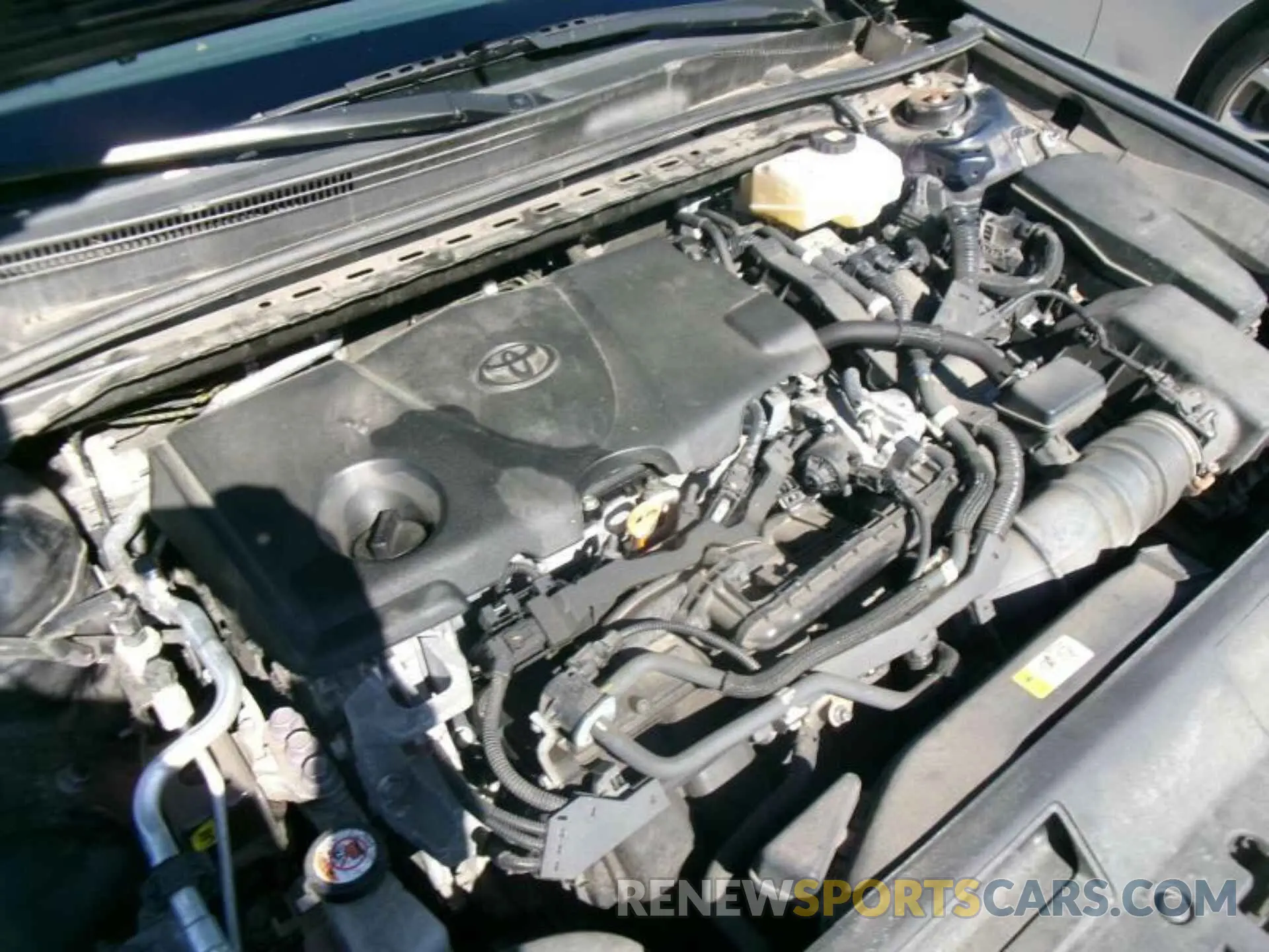 14 Photograph of a damaged car 4T1C31AK5MU551450 TOYOTA CAMRY 2021