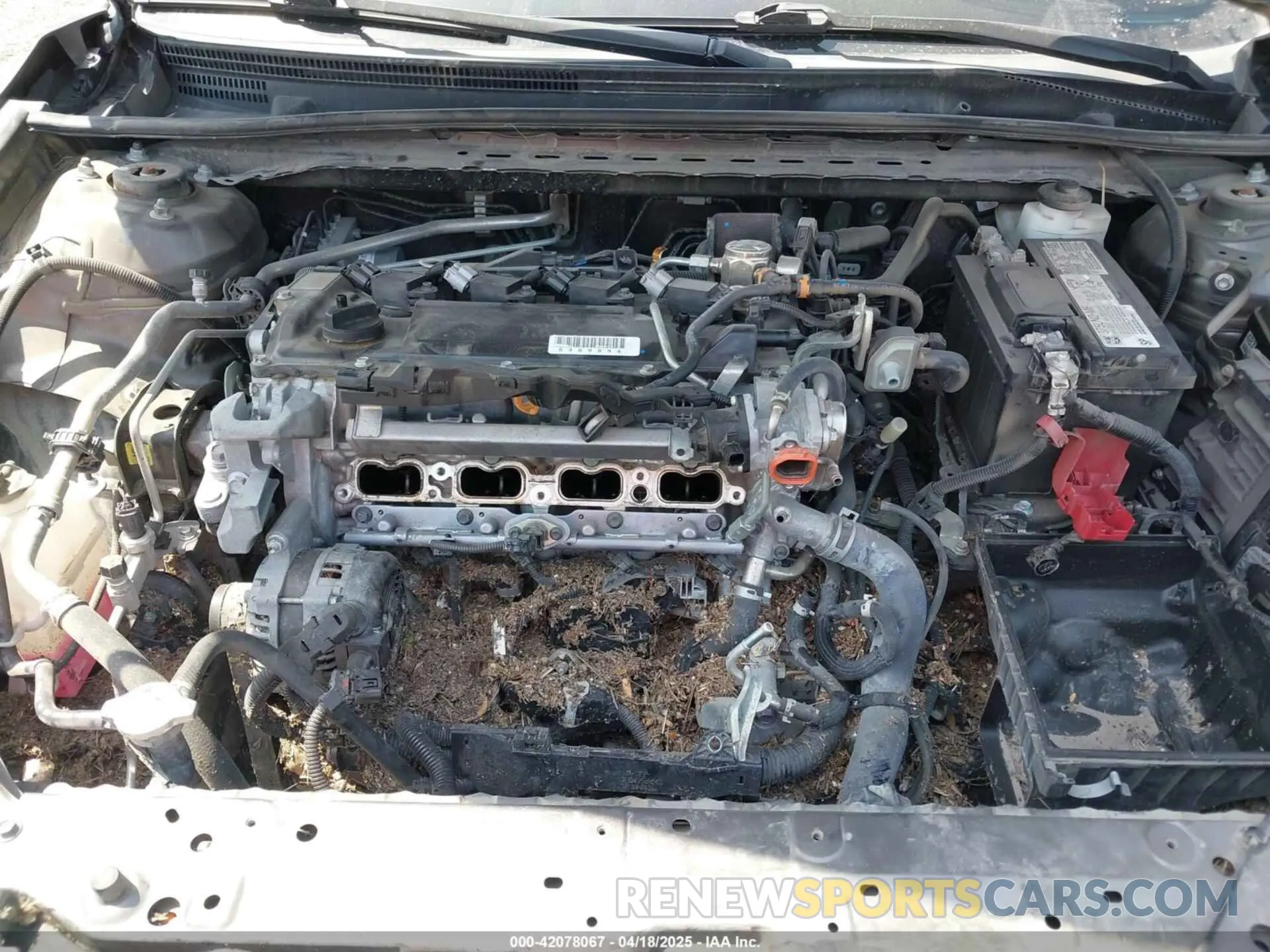 10 Photograph of a damaged car 4T1F11AK0MU557031 TOYOTA CAMRY 2021