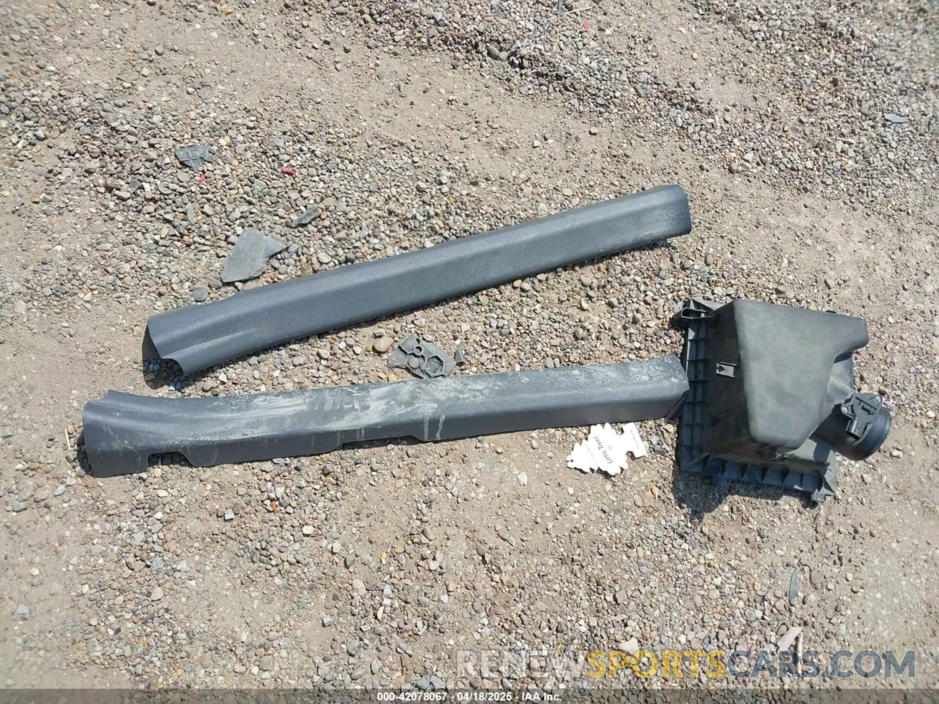 12 Photograph of a damaged car 4T1F11AK0MU557031 TOYOTA CAMRY 2021