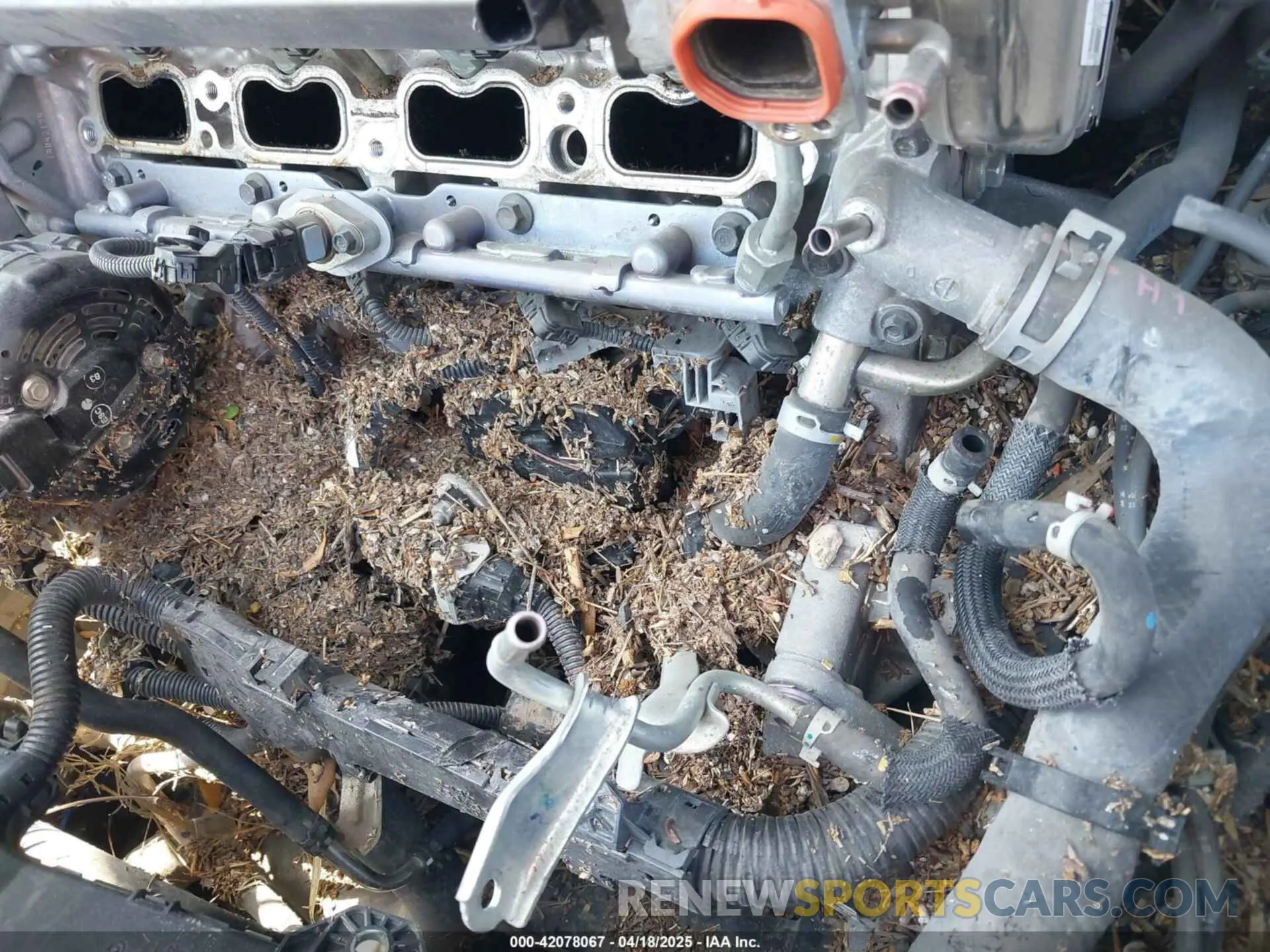 13 Photograph of a damaged car 4T1F11AK0MU557031 TOYOTA CAMRY 2021
