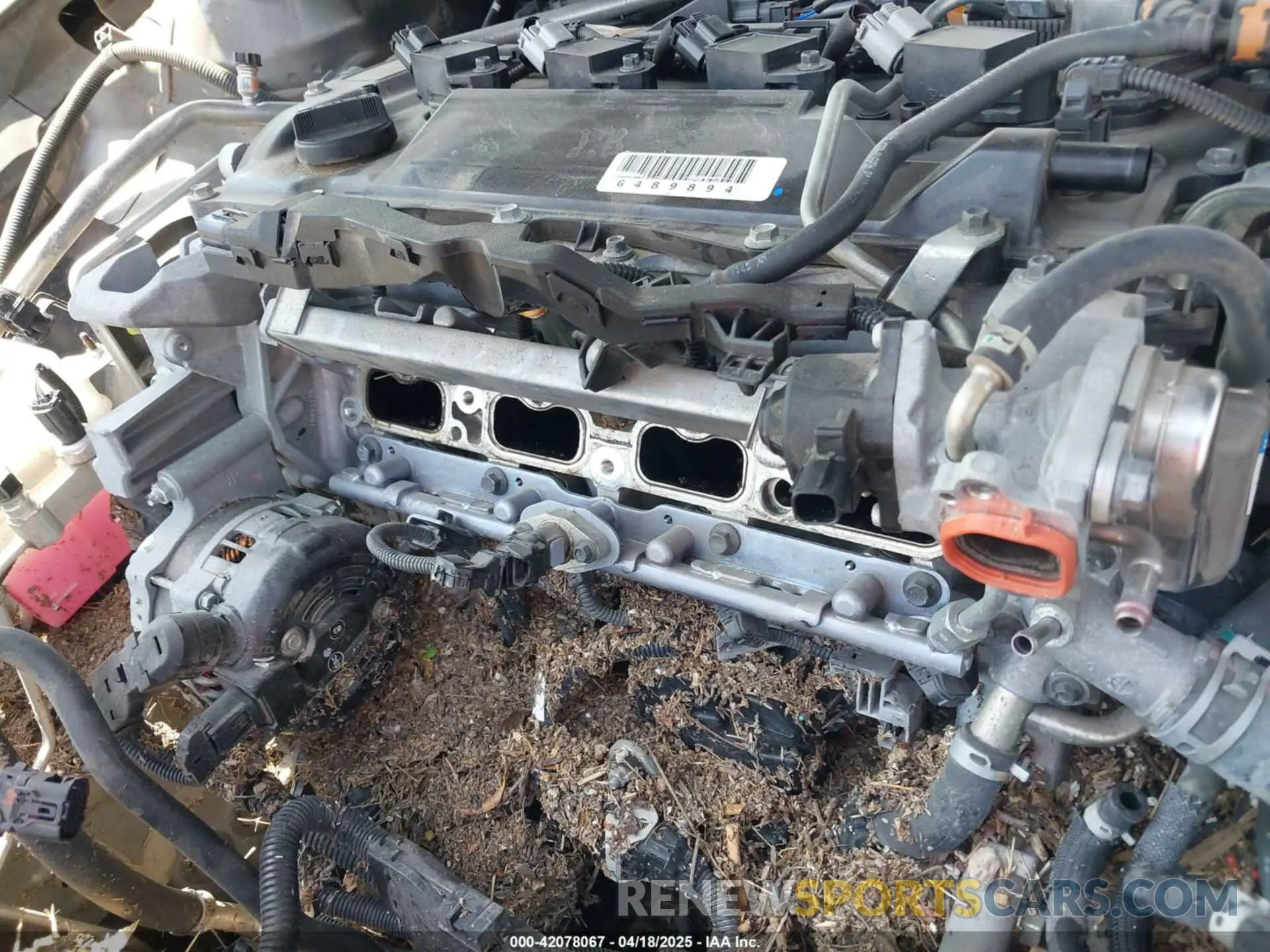 14 Photograph of a damaged car 4T1F11AK0MU557031 TOYOTA CAMRY 2021