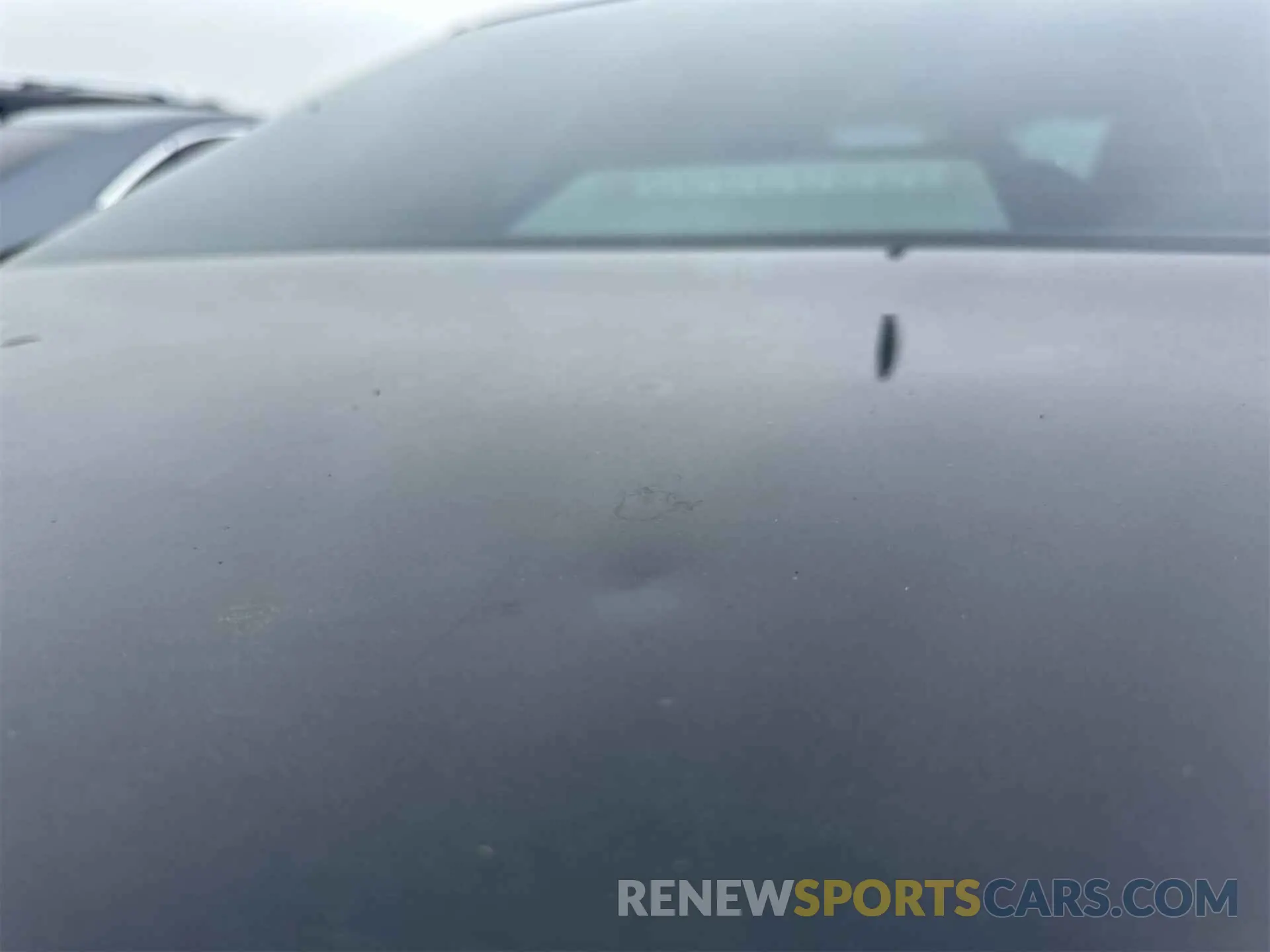 12 Photograph of a damaged car 4T1F11AK6MU434527 TOYOTA CAMRY 2021