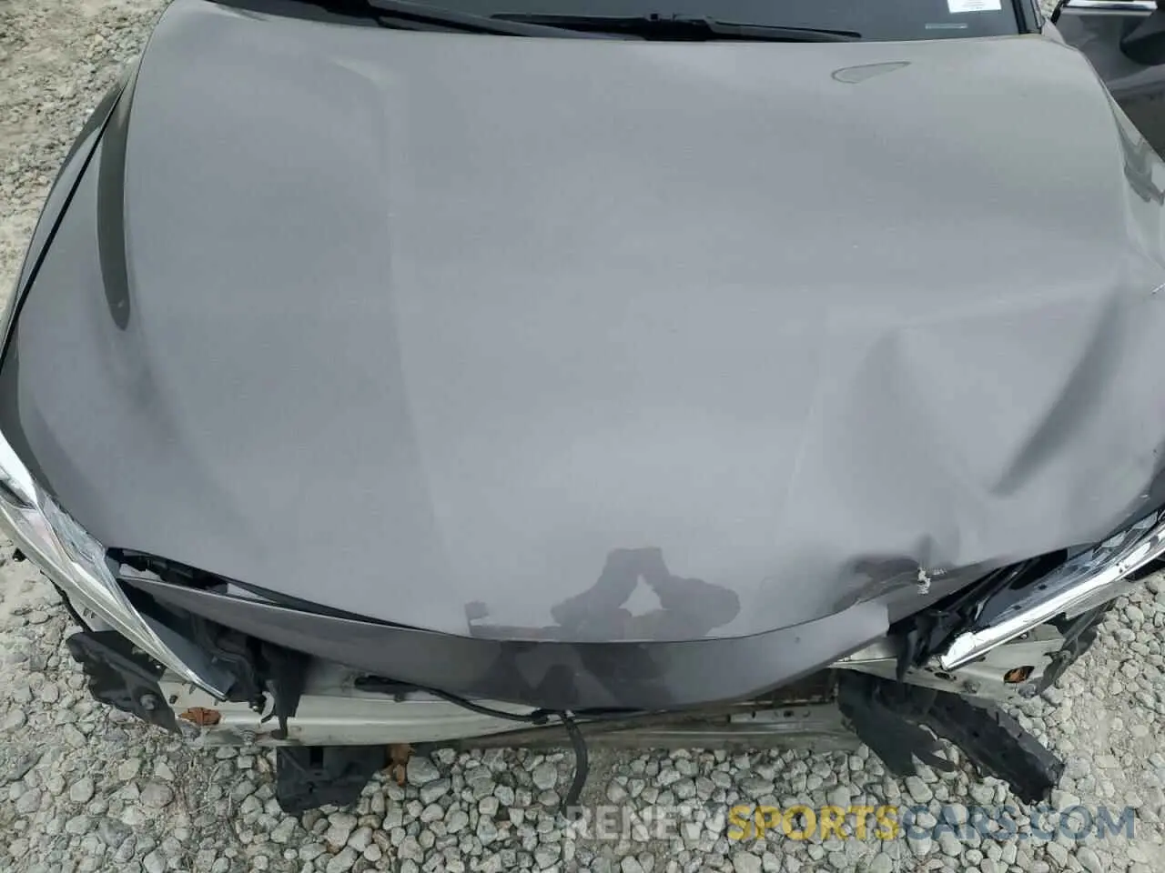 12 Photograph of a damaged car 4T1F11AK9MU605688 TOYOTA CAMRY 2021