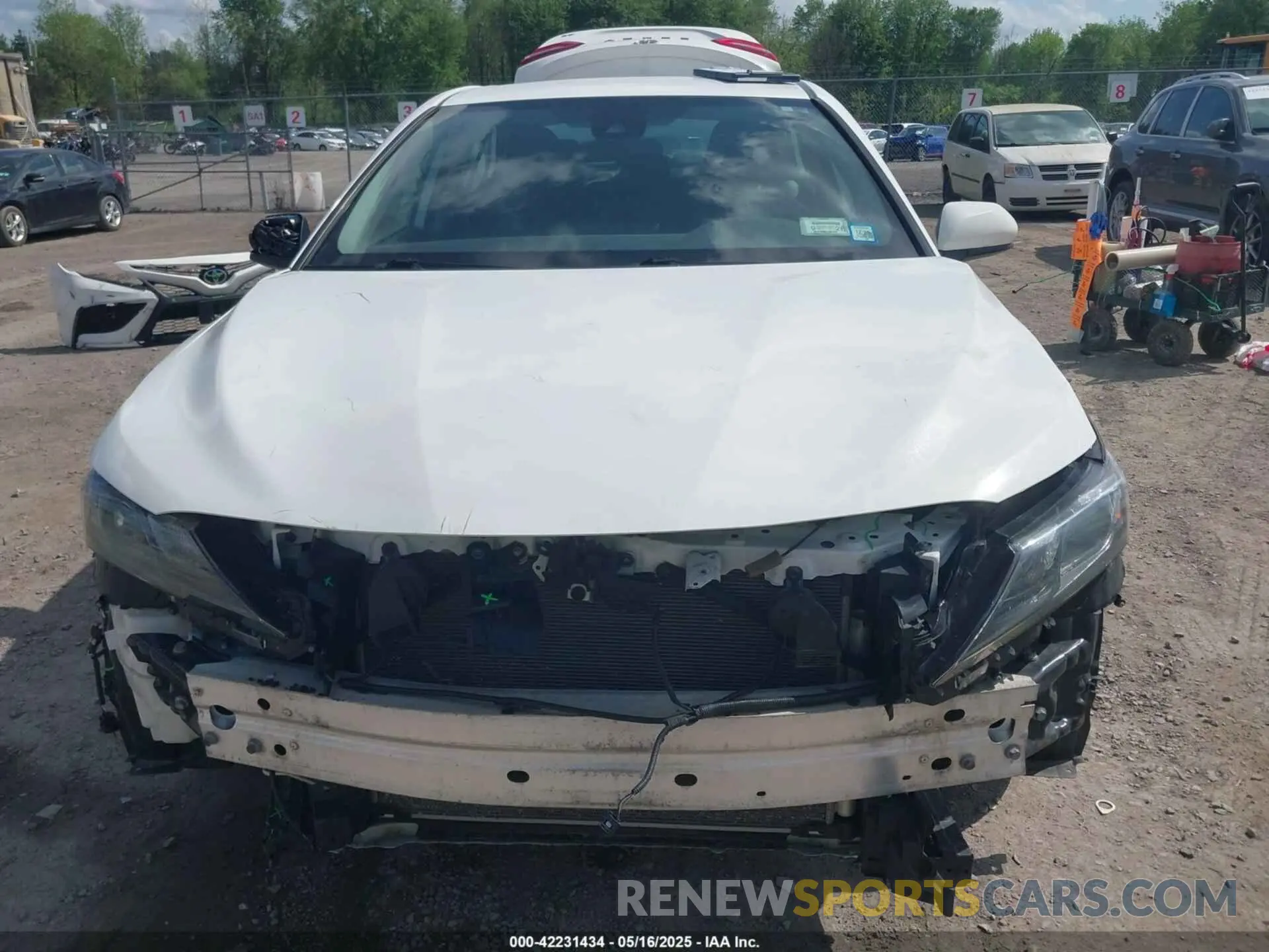 6 Photograph of a damaged car 4T1G11AK0MU424600 TOYOTA CAMRY 2021