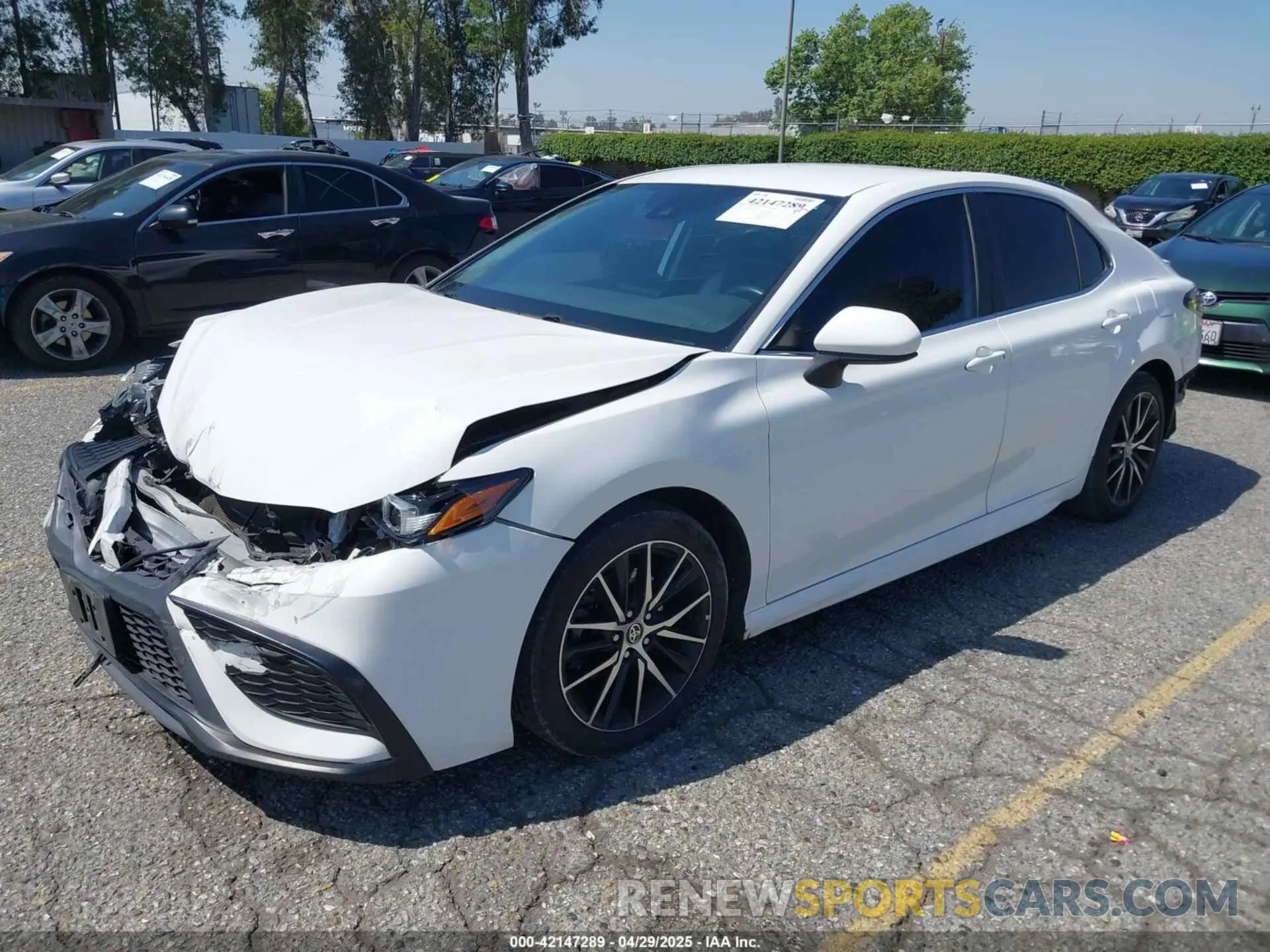 2 Photograph of a damaged car 4T1G11AK0MU451229 TOYOTA CAMRY 2021