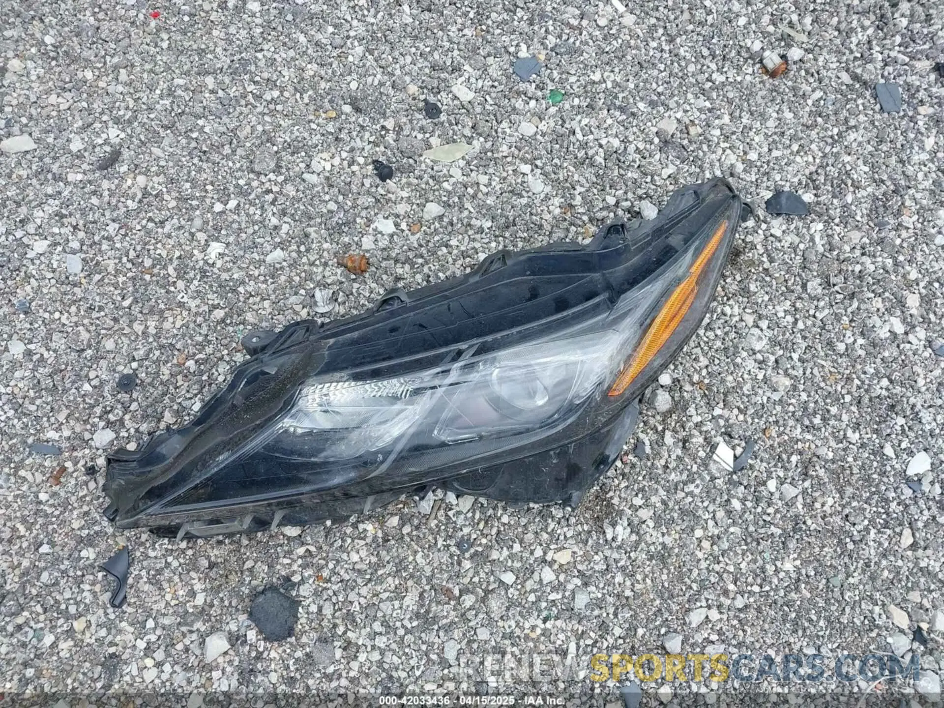 12 Photograph of a damaged car 4T1G11AK2MU548996 TOYOTA CAMRY 2021