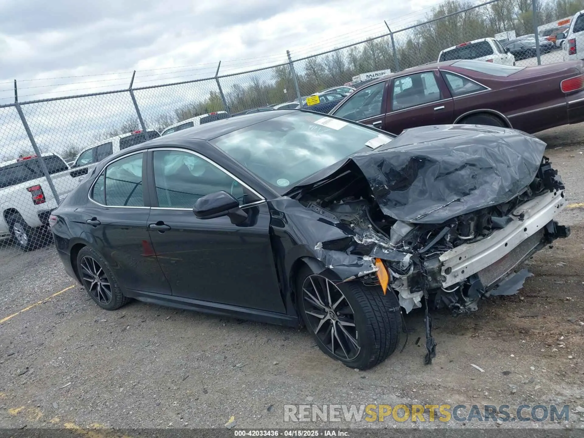 14 Photograph of a damaged car 4T1G11AK2MU548996 TOYOTA CAMRY 2021