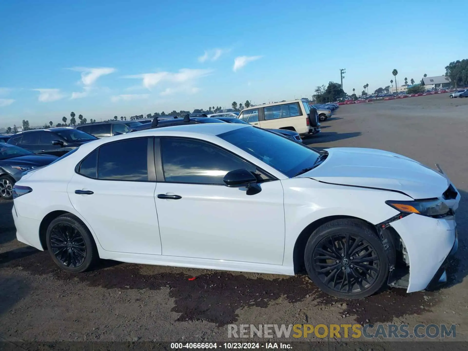 12 Photograph of a damaged car 4T1G11AK5MU441215 TOYOTA CAMRY 2021