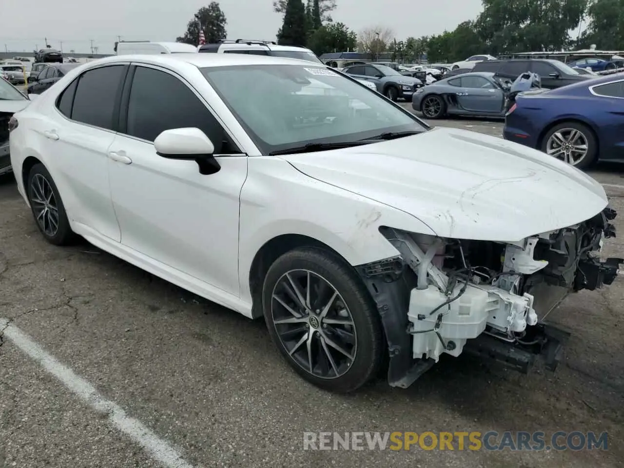 4 Photograph of a damaged car 4T1G11AK5MU553299 TOYOTA CAMRY 2021