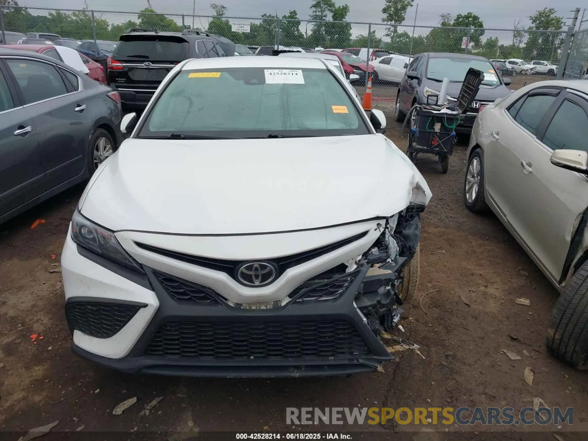 13 Photograph of a damaged car 4T1G11AK7MU559346 TOYOTA CAMRY 2021