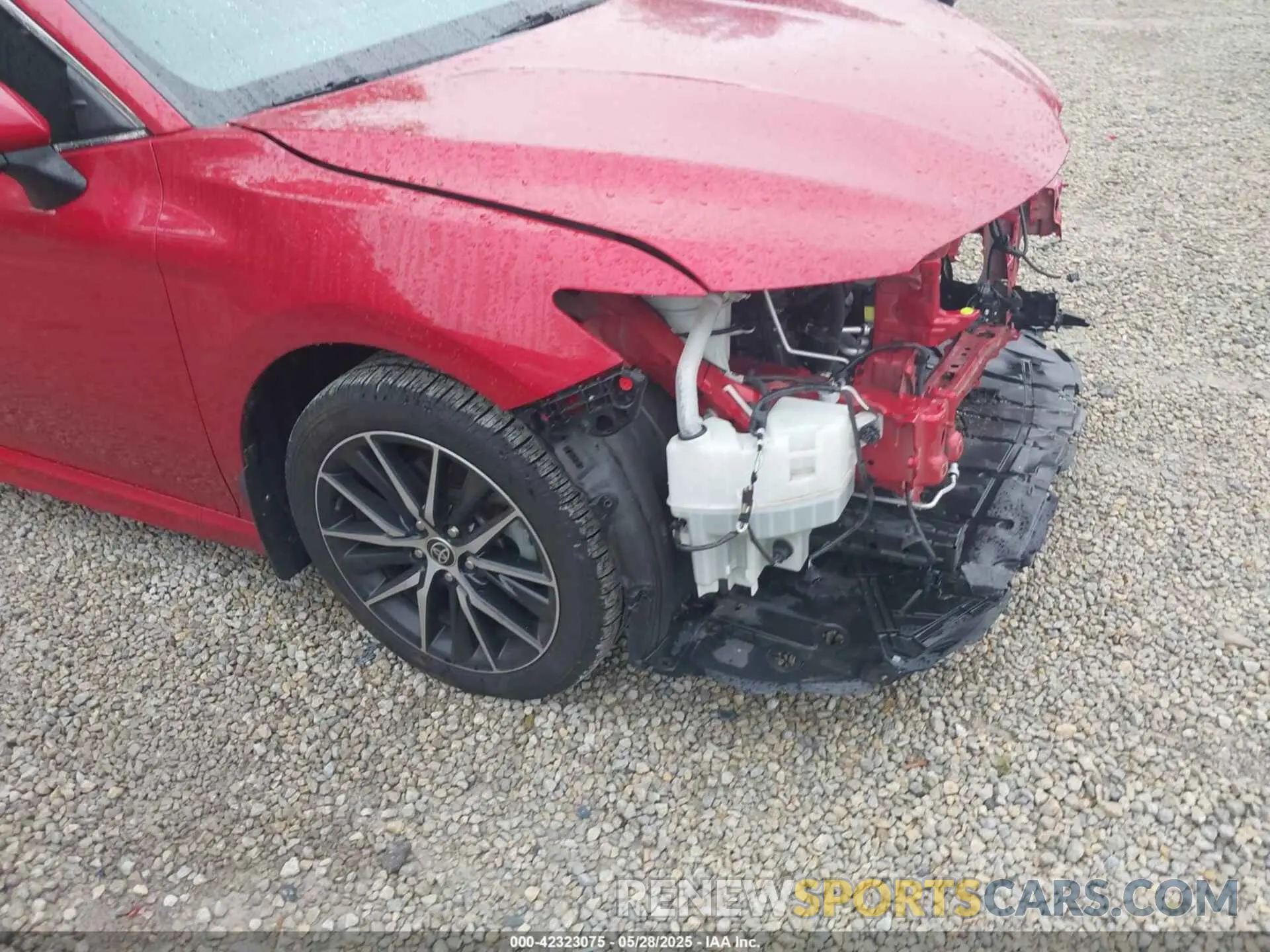 19 Photograph of a damaged car 4T1G11AK9MU442397 TOYOTA CAMRY 2021