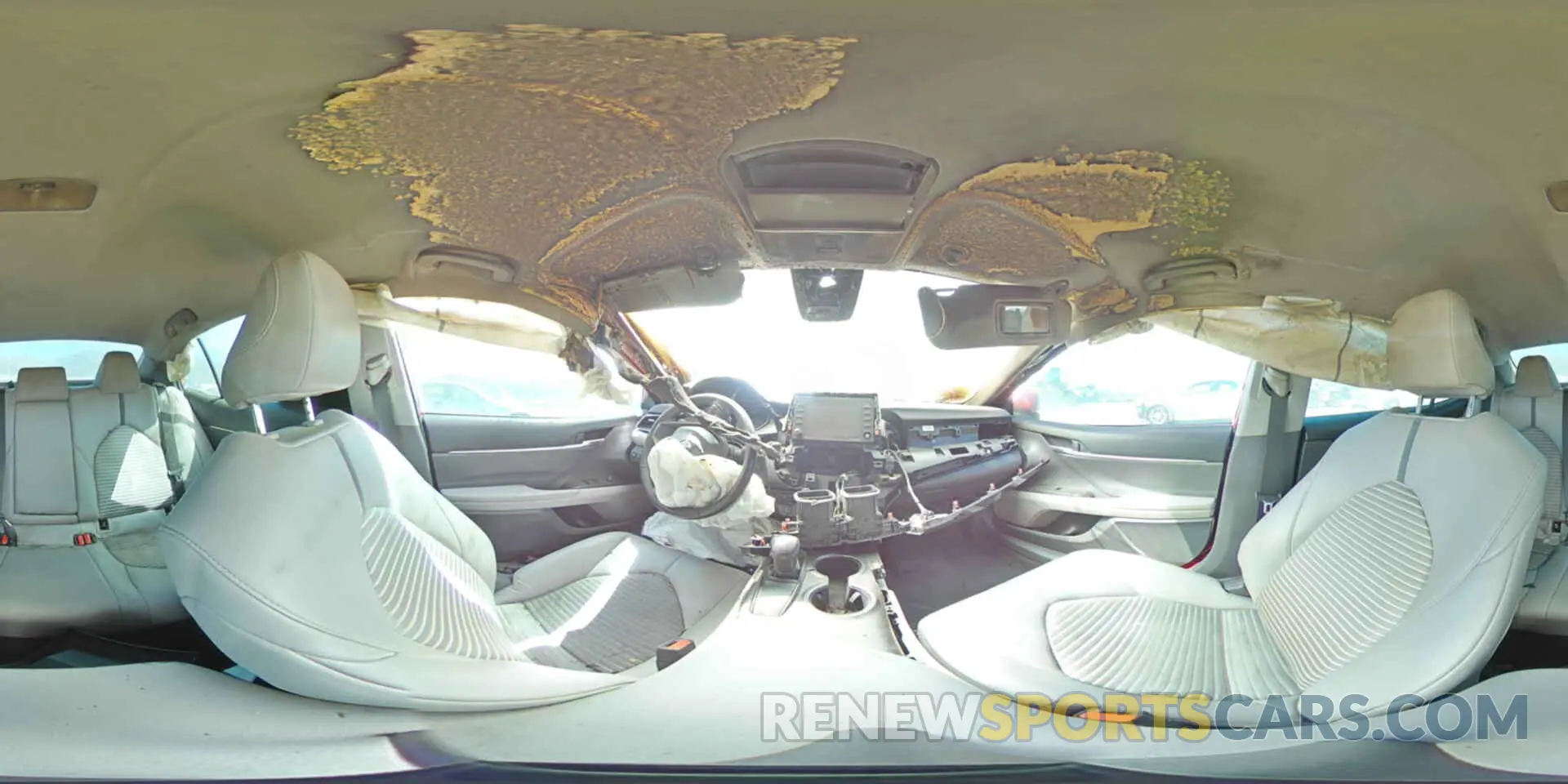 12 Photograph of a damaged car 4T1G11AKXMU416276 TOYOTA CAMRY 2021