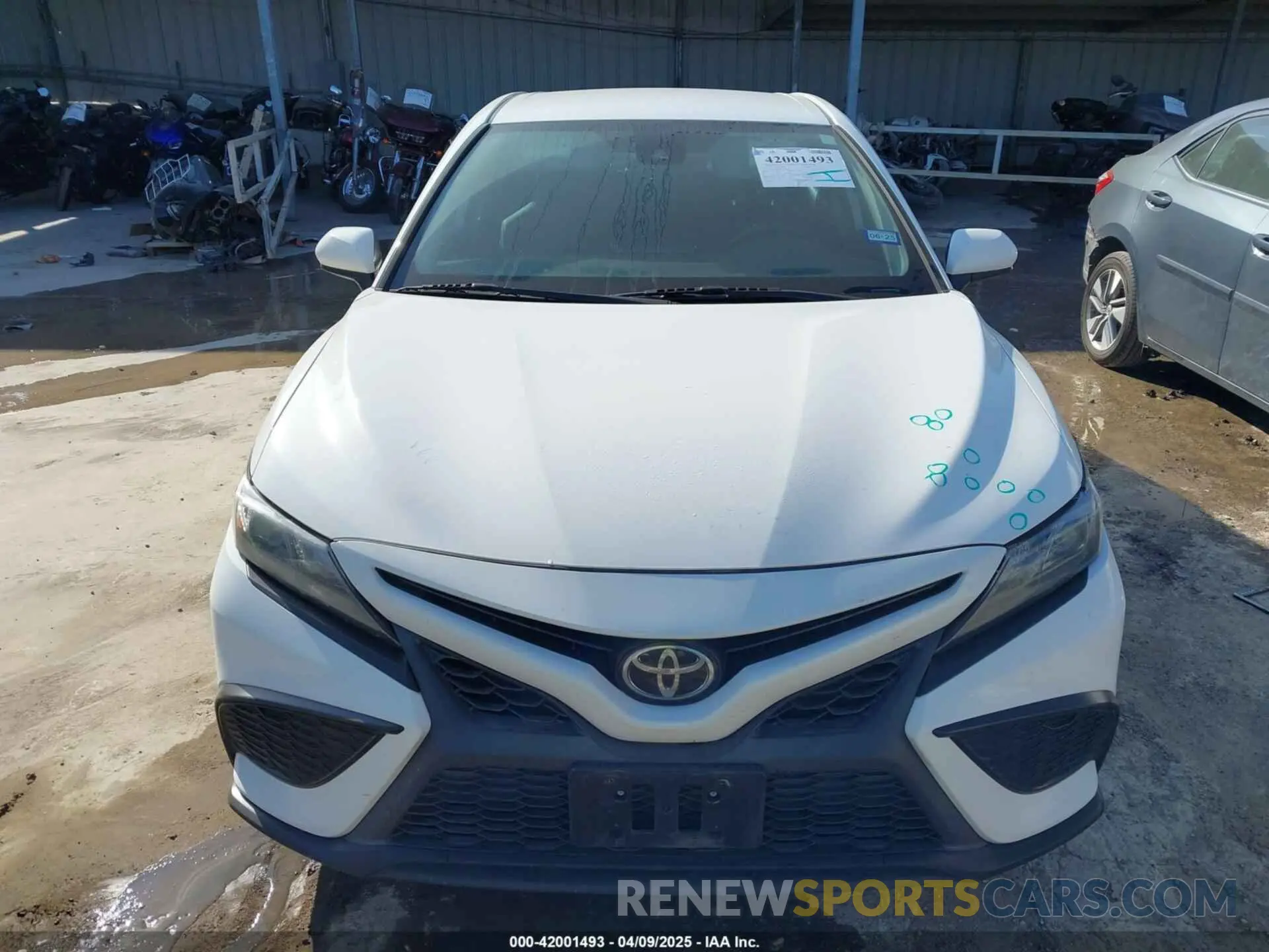 12 Photograph of a damaged car 4T1G11AKXMU574892 TOYOTA CAMRY 2021