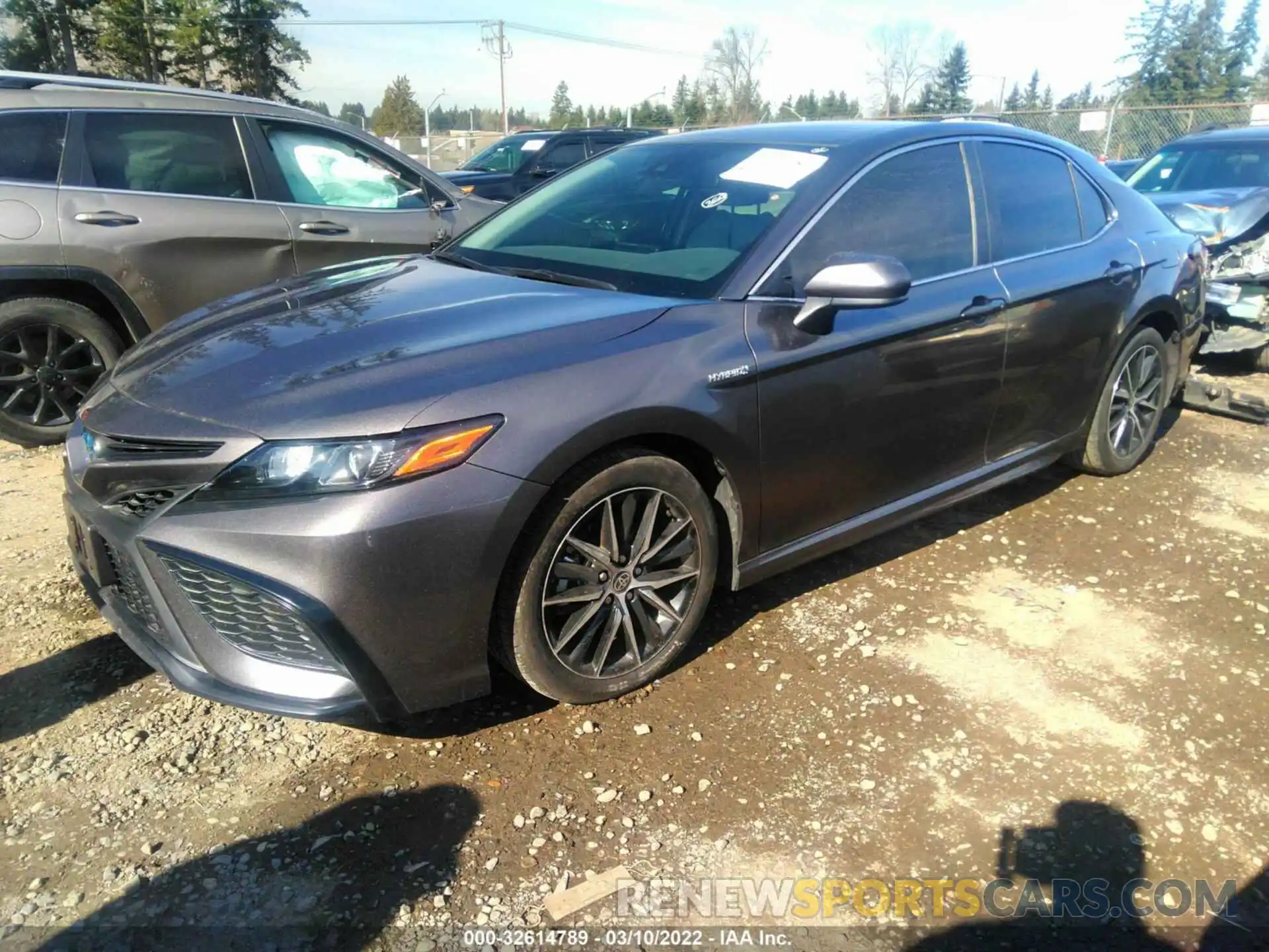 2 Photograph of a damaged car 4T1G31AK0MU028550 TOYOTA CAMRY 2021