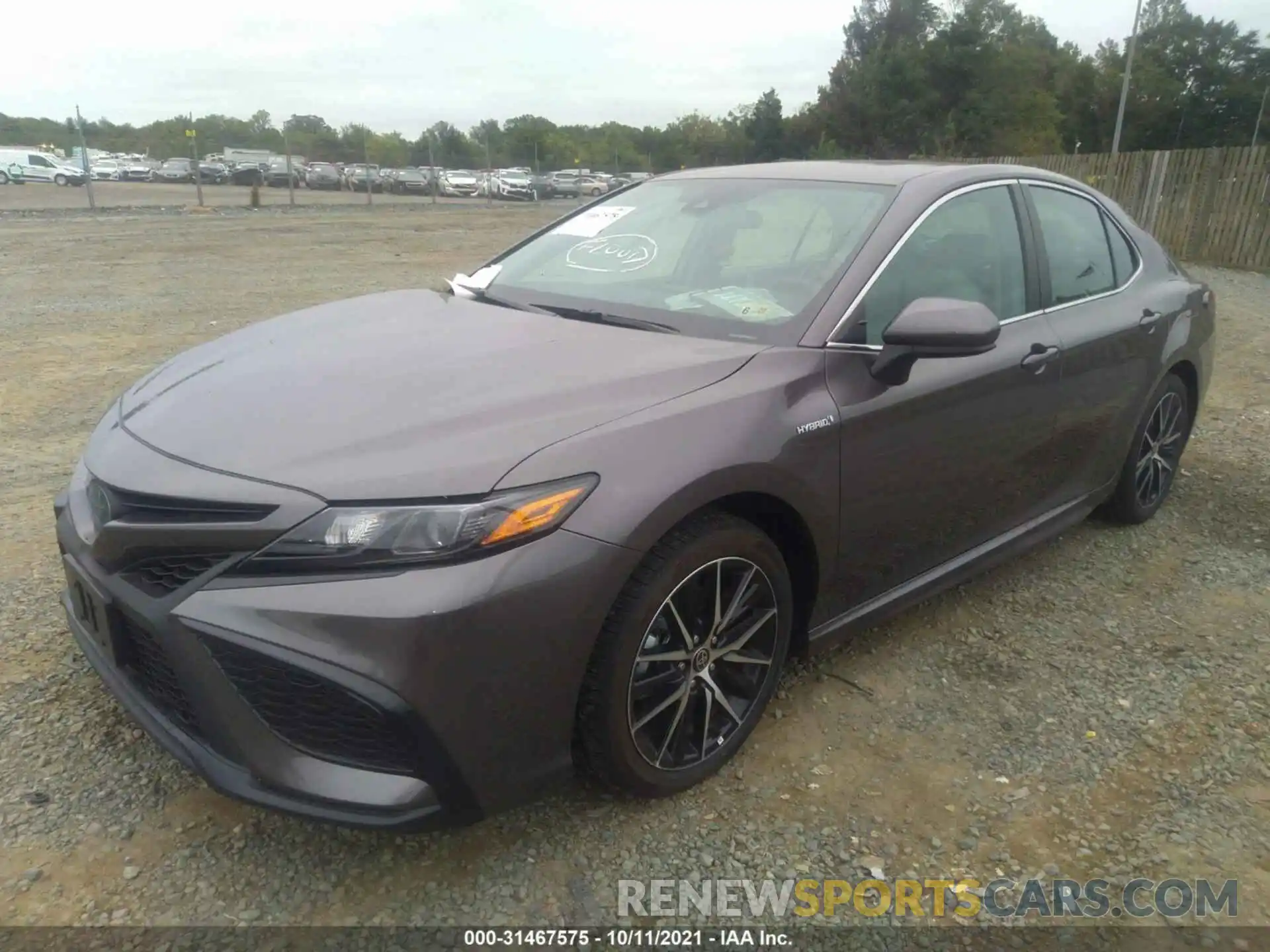 2 Photograph of a damaged car 4T1G31AK2MU559569 TOYOTA CAMRY 2021