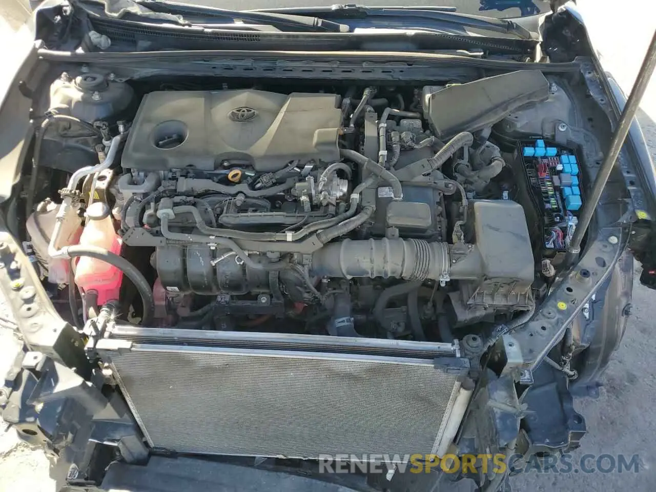11 Photograph of a damaged car 4T1G31AK3MU031443 TOYOTA CAMRY 2021