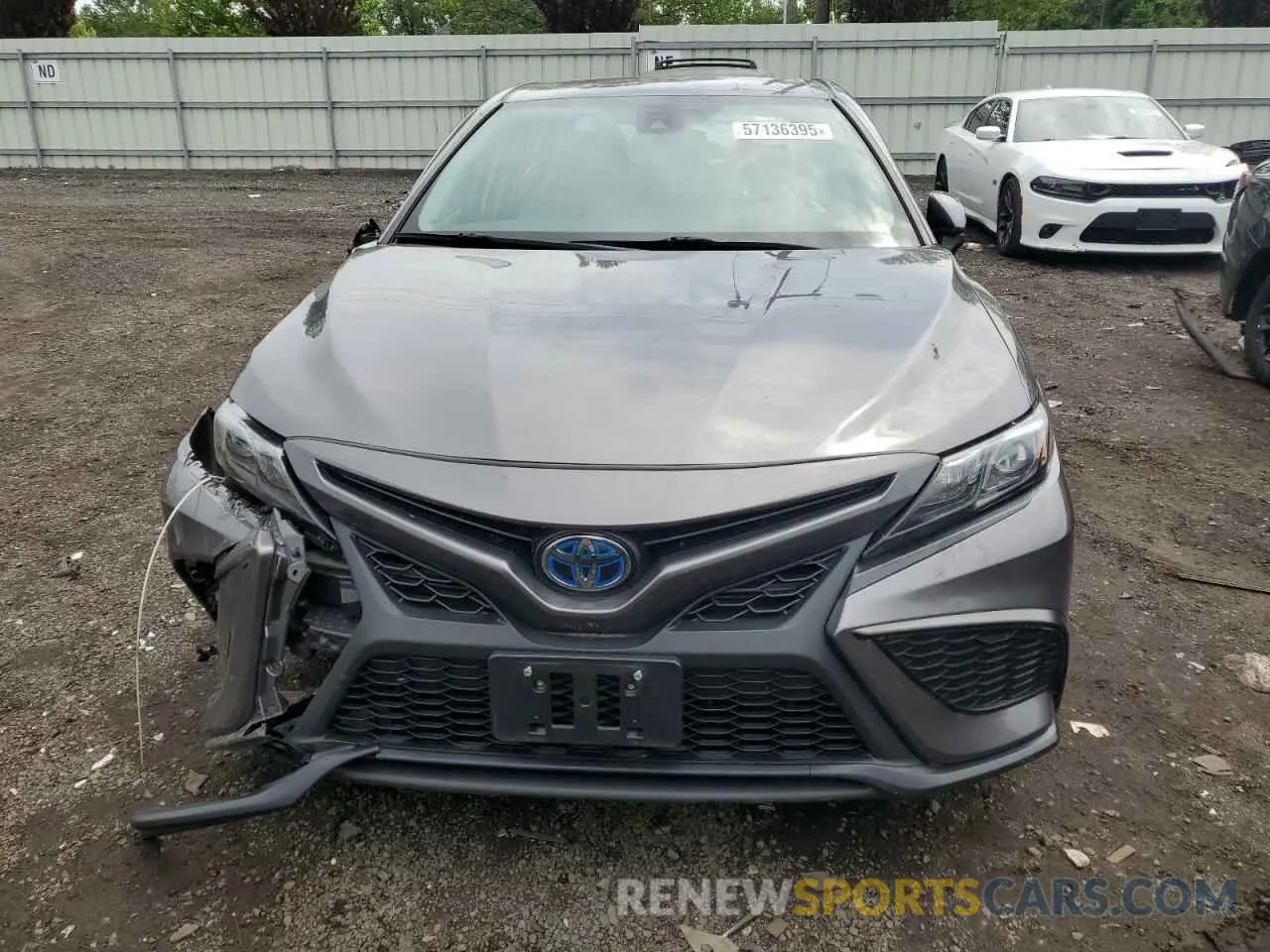 5 Photograph of a damaged car 4T1G31AK4MU552607 TOYOTA CAMRY 2021