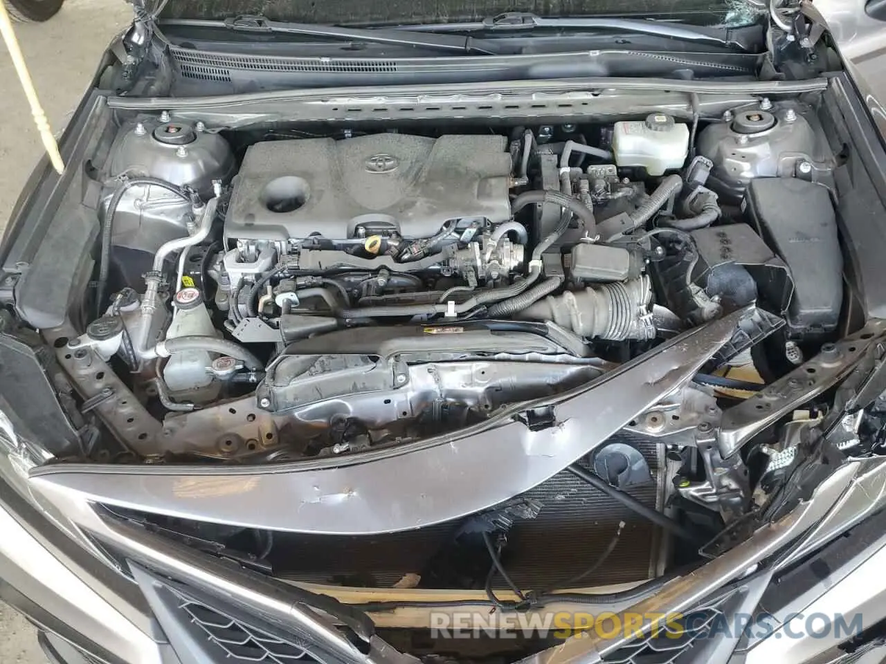 11 Photograph of a damaged car 4T1G31AK5MU566466 TOYOTA CAMRY 2021