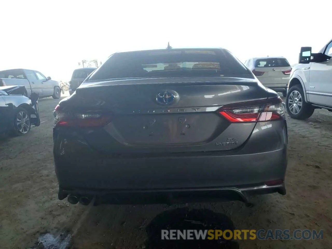 6 Photograph of a damaged car 4T1G31AK5MU566466 TOYOTA CAMRY 2021