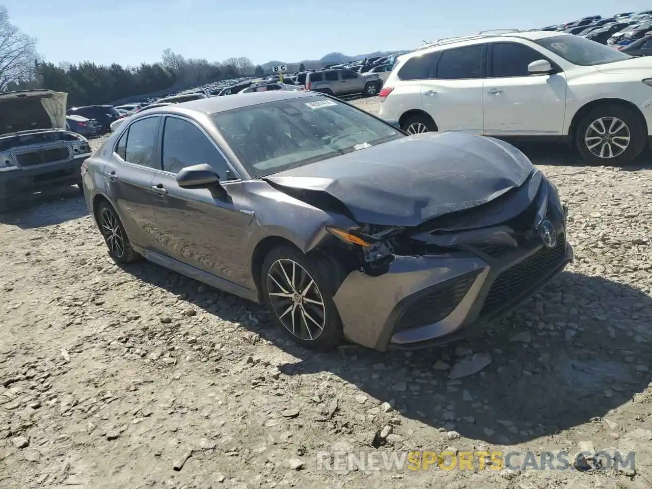 4 Photograph of a damaged car 4T1G31AK6MU031257 TOYOTA CAMRY 2021