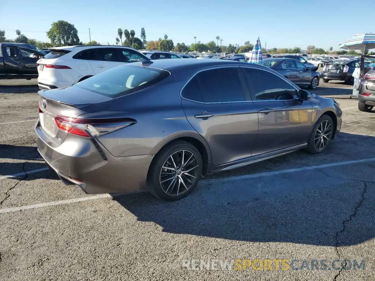 3 Photograph of a damaged car 4T1G31AK6MU565648 TOYOTA CAMRY 2021