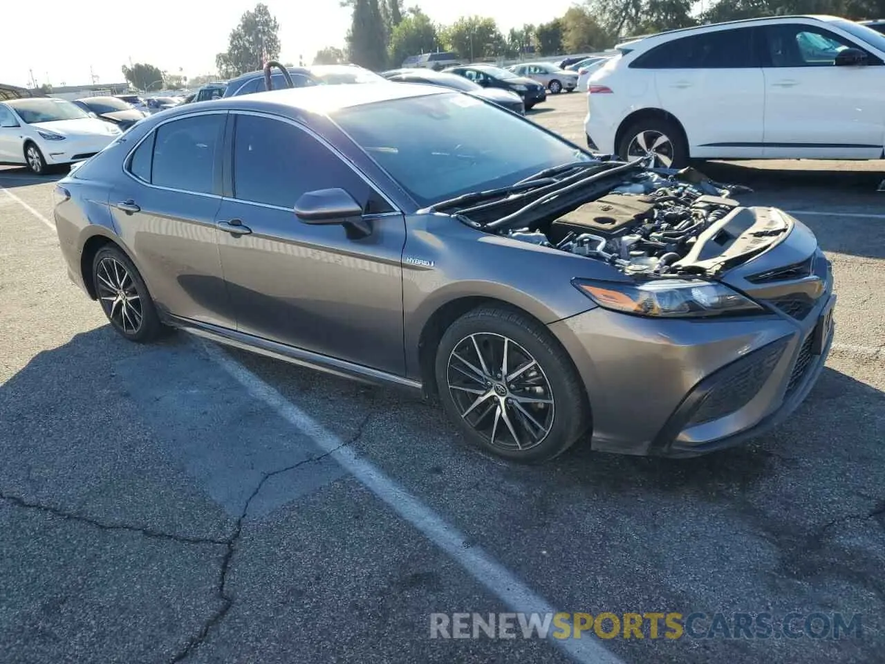4 Photograph of a damaged car 4T1G31AK6MU565648 TOYOTA CAMRY 2021