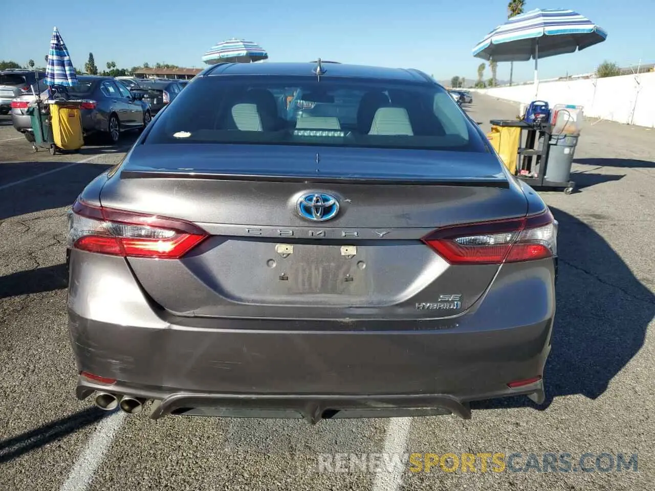 6 Photograph of a damaged car 4T1G31AK6MU565648 TOYOTA CAMRY 2021