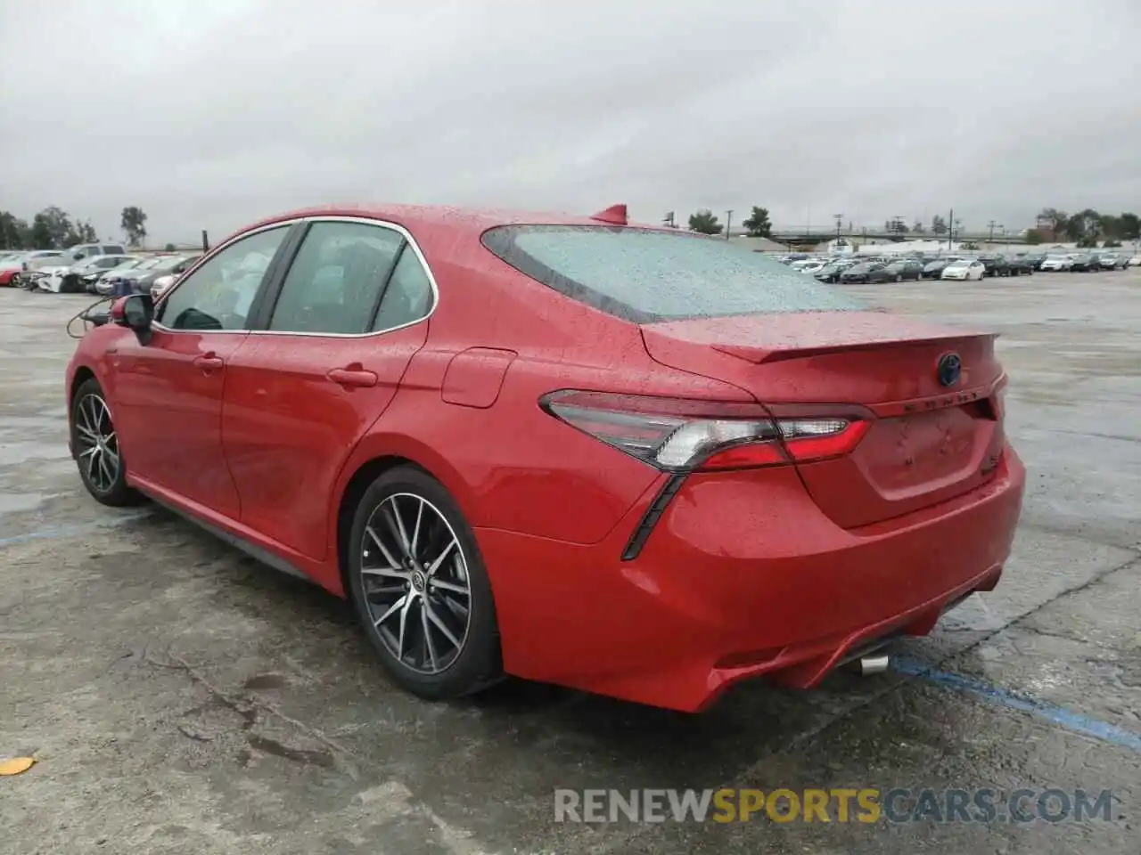 3 Photograph of a damaged car 4T1G31AK9MU026084 TOYOTA CAMRY 2021