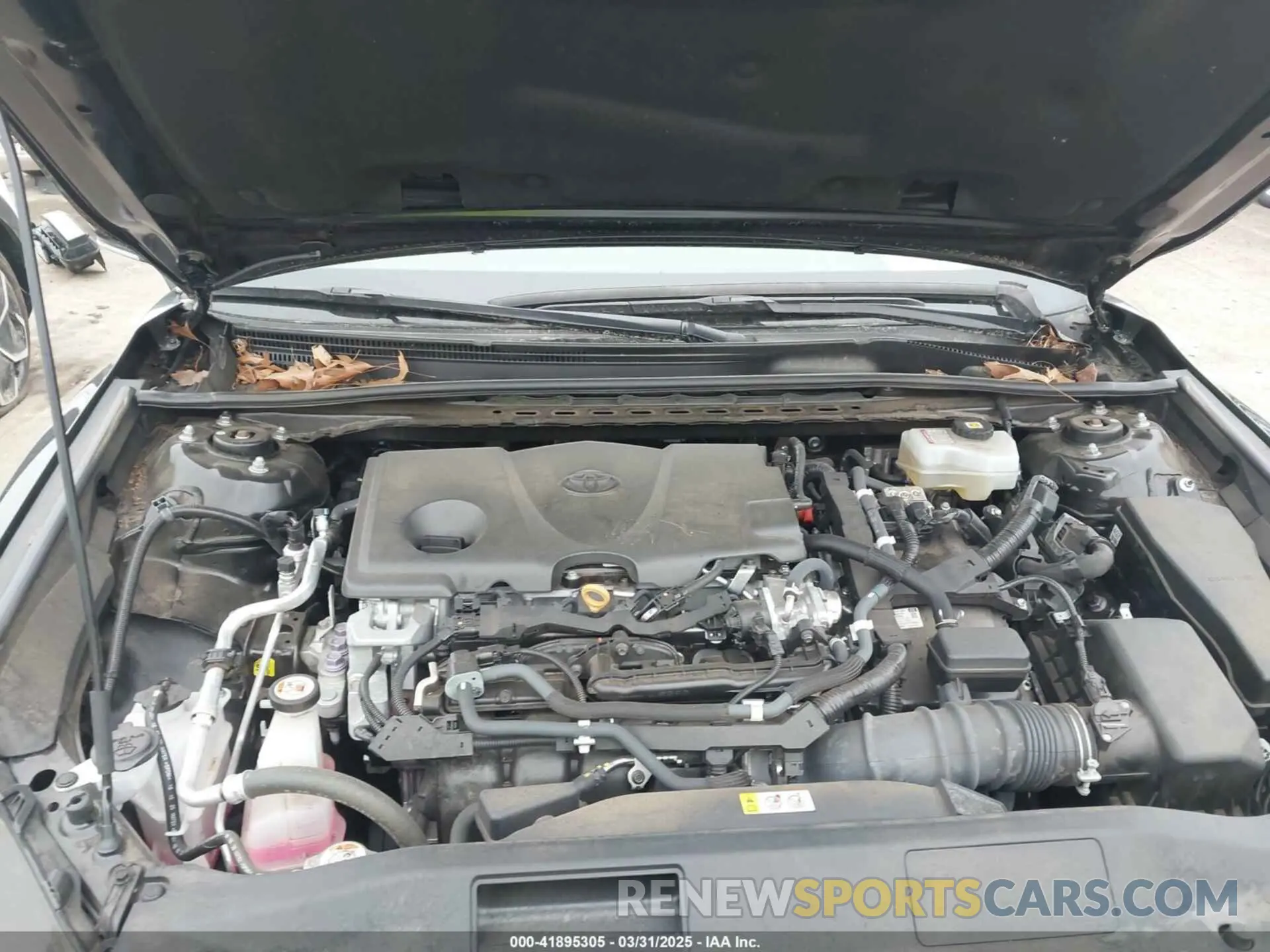10 Photograph of a damaged car 4T1H31AK2MU558250 TOYOTA CAMRY 2021