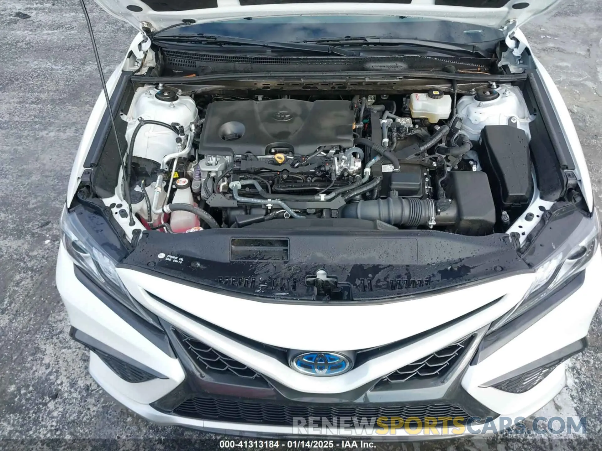 10 Photograph of a damaged car 4T1K31AK1MU564966 TOYOTA CAMRY 2021