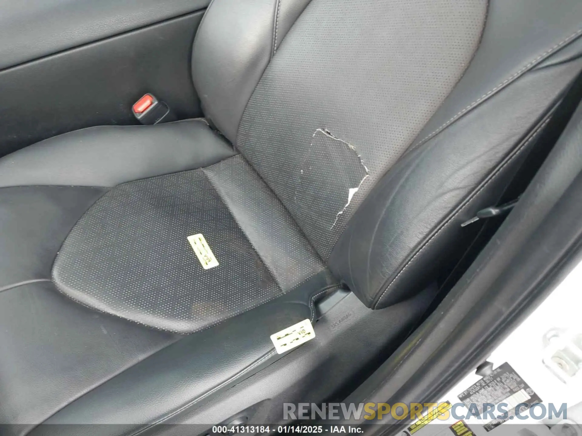 19 Photograph of a damaged car 4T1K31AK1MU564966 TOYOTA CAMRY 2021