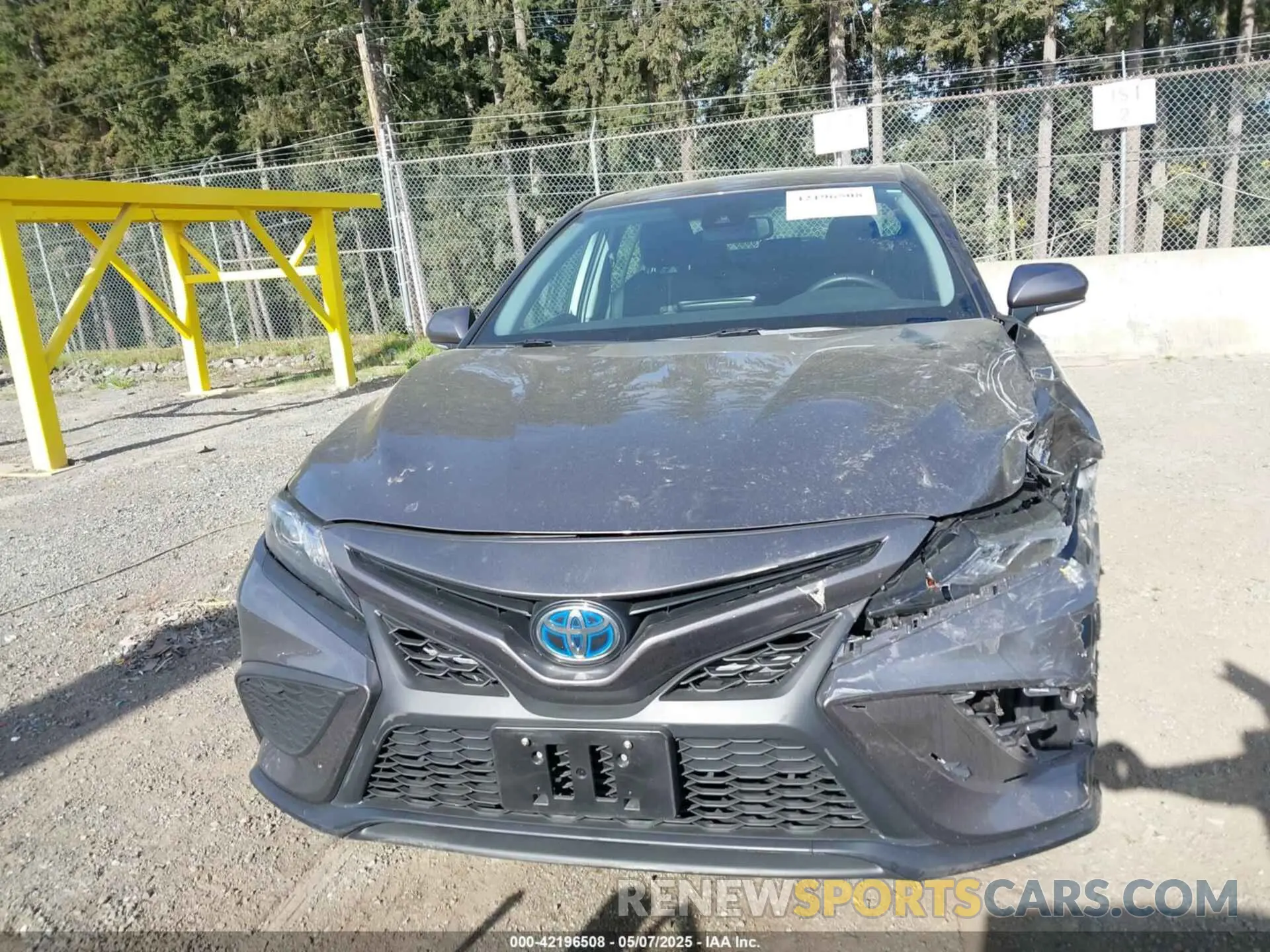 11 Photograph of a damaged car 4T1S31AK3MU568131 TOYOTA CAMRY 2021