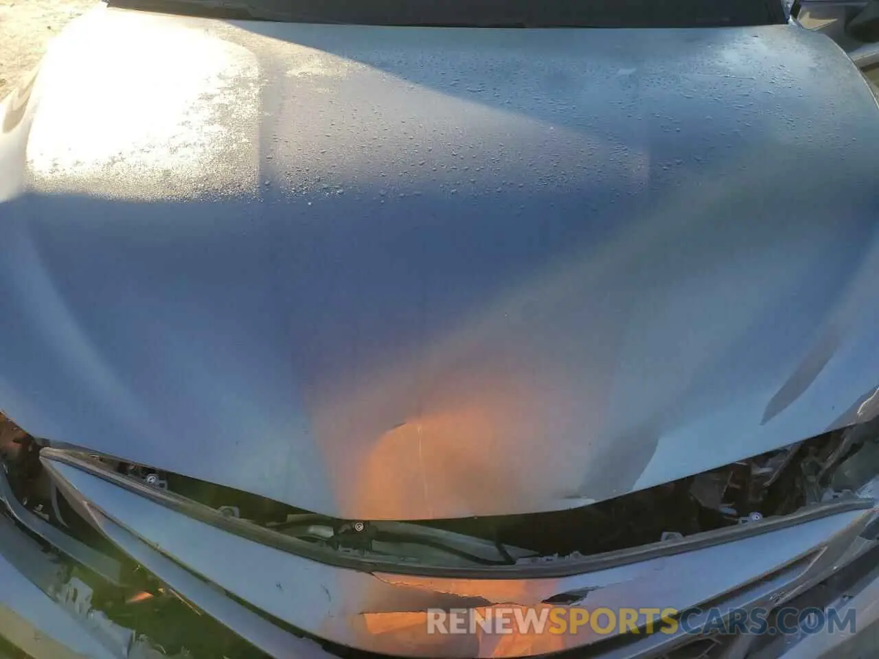 12 Photograph of a damaged car 4T1S31AK5MU559219 TOYOTA CAMRY 2021